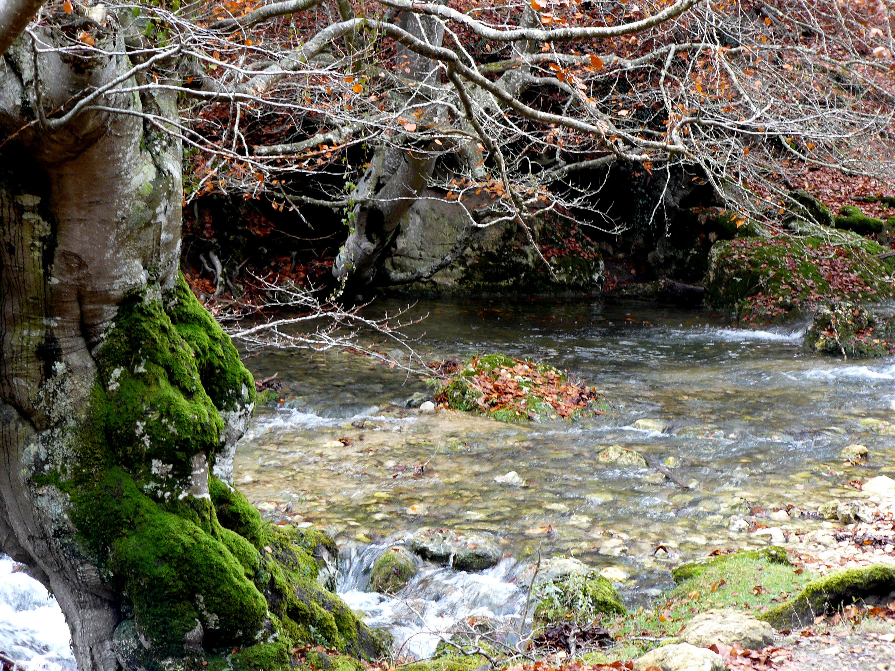 Ríos en Álava: un recorrido por cascadas y paisajes ocultos