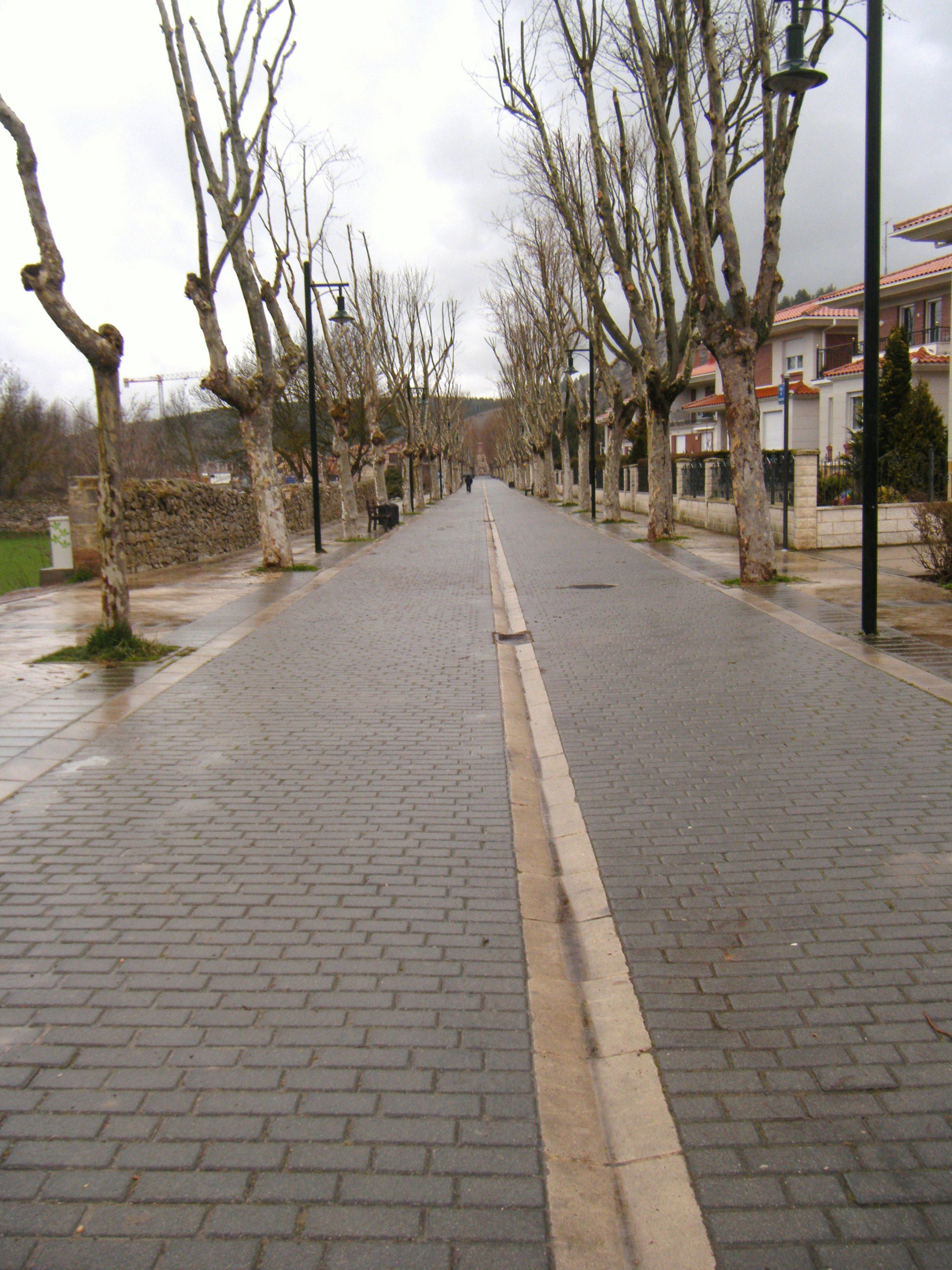 Paseo del Monasterio, por Yoli ChamBa
