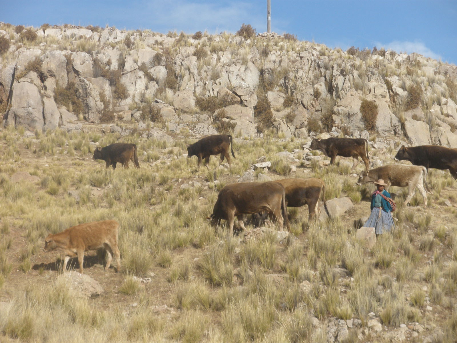 Trayecto Puno - Arequipa, por mmozamiz