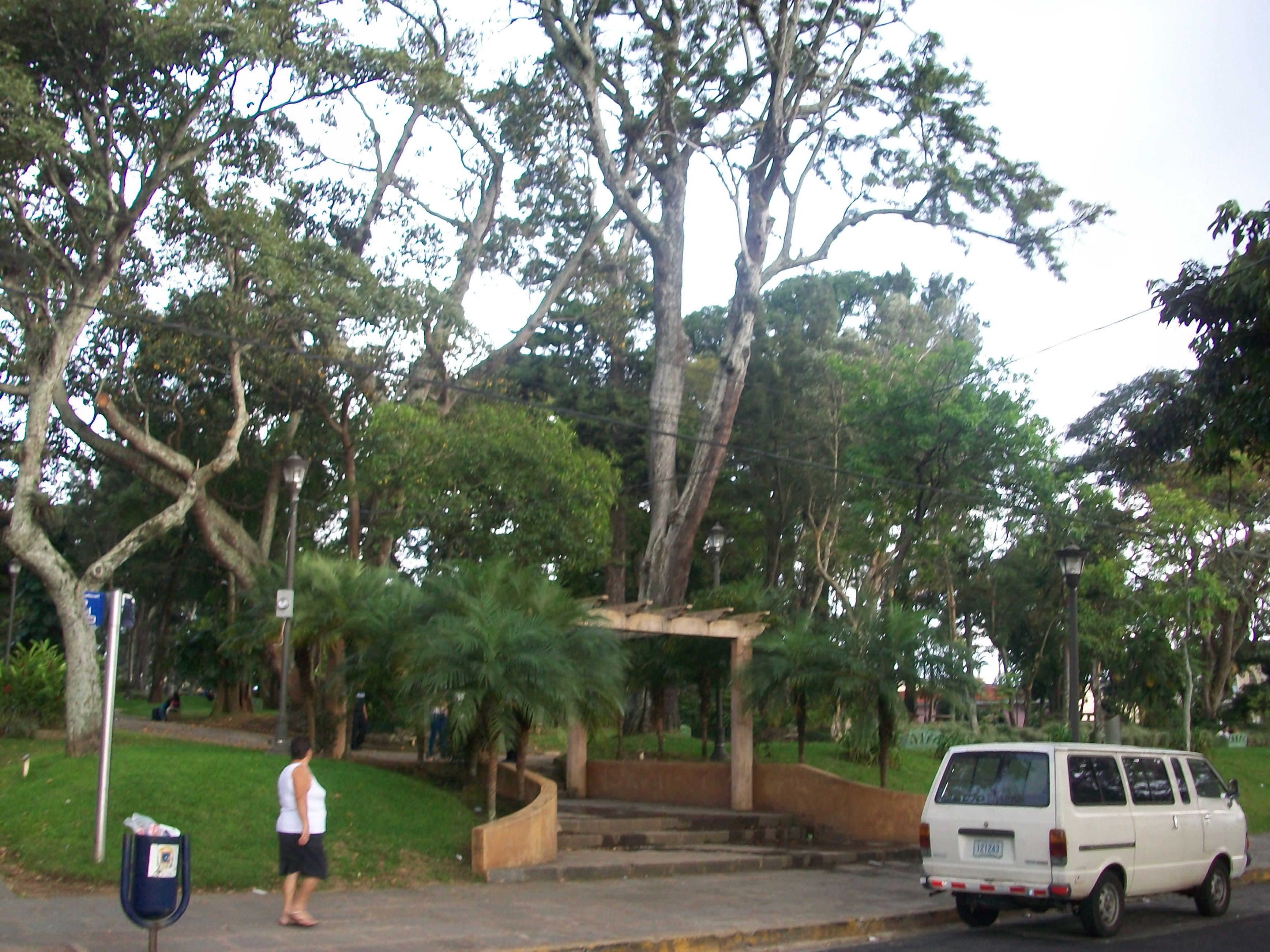 Parque Nacional, por Coline
