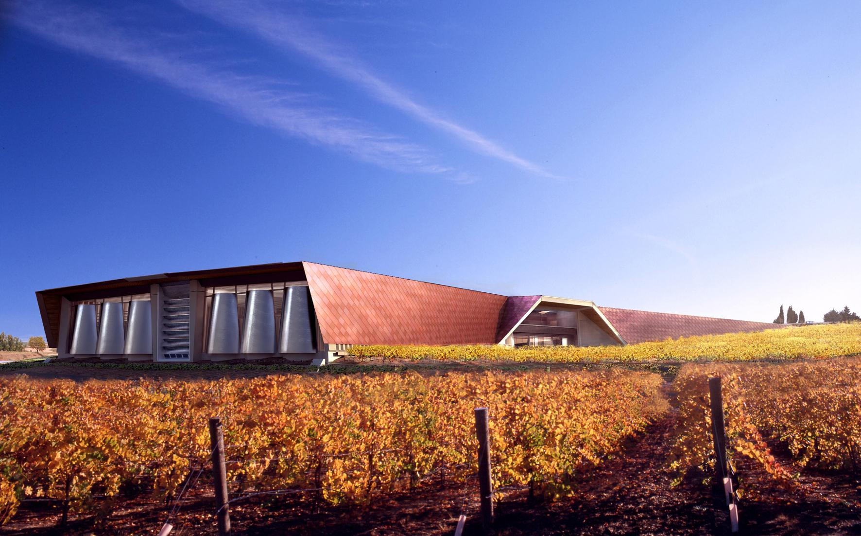 Bodegas en Burgos que conquistan con sus vinos y experiencias únicas