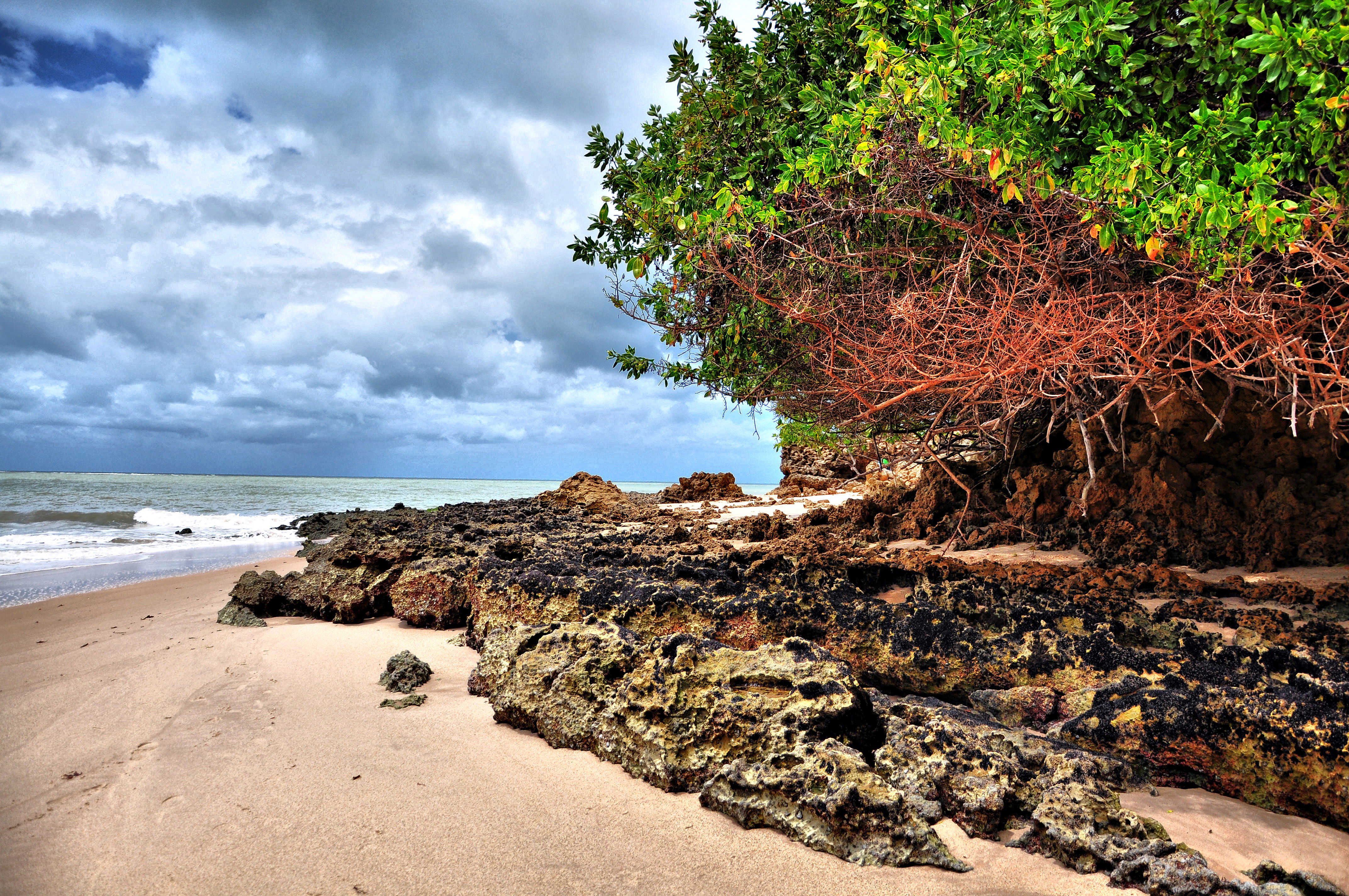 Playa Jacumã, por Emo Durá