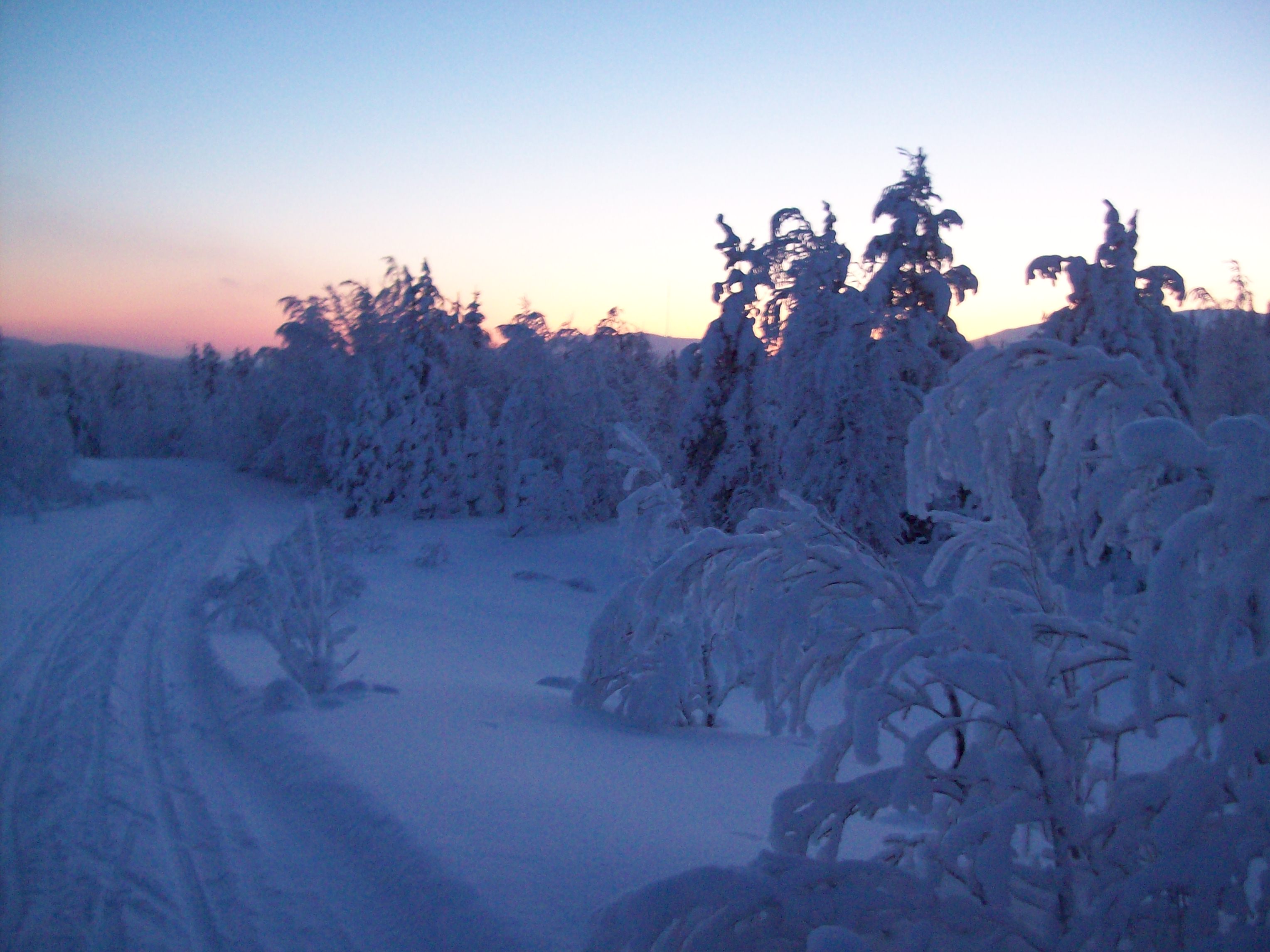 Parque Pyhä-Luosto, por Nicolas