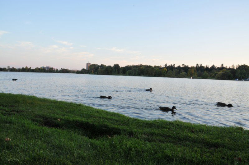 Dow's Lake en Ottawa, por Mlle M