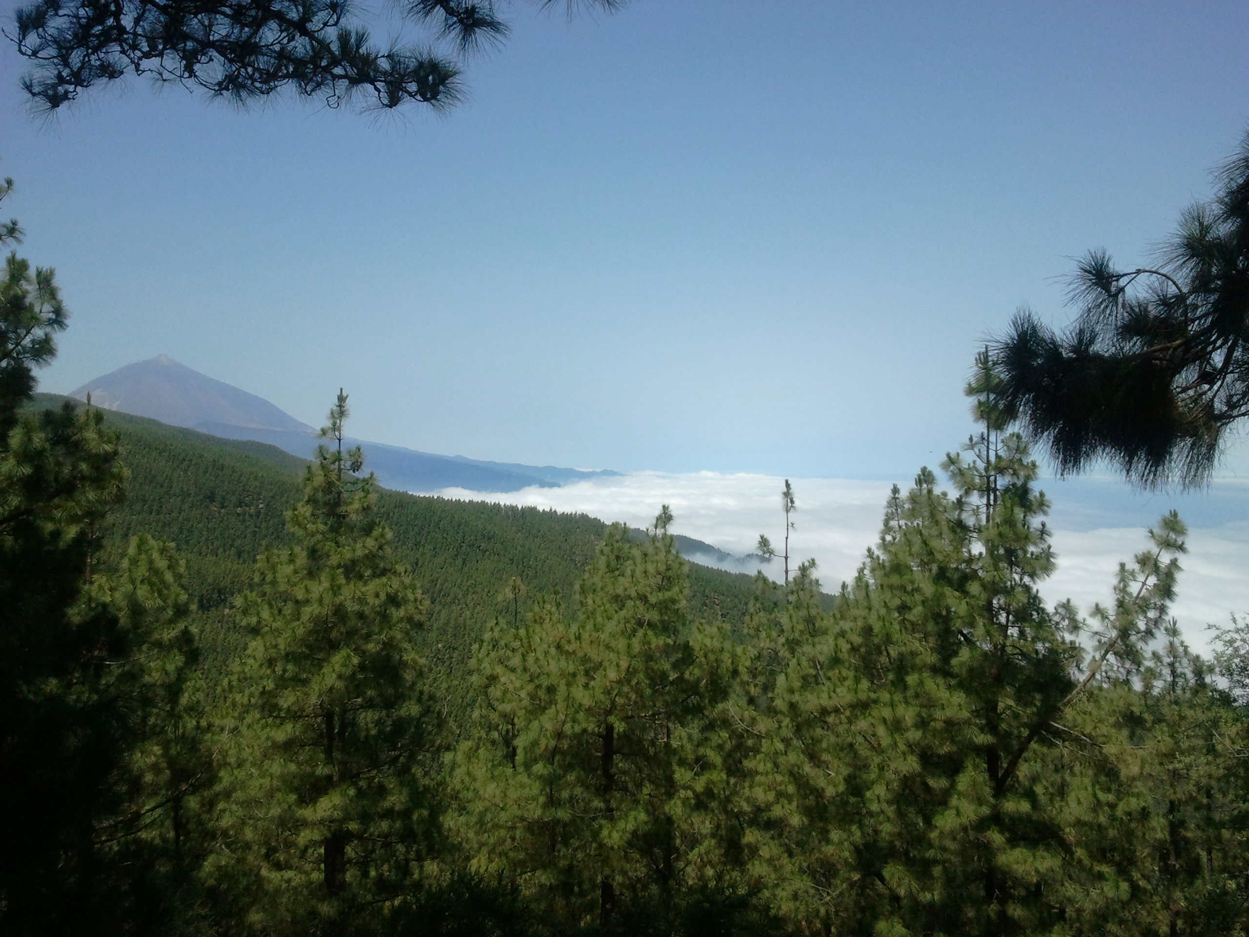 Mirador de Ortuño, por Lala