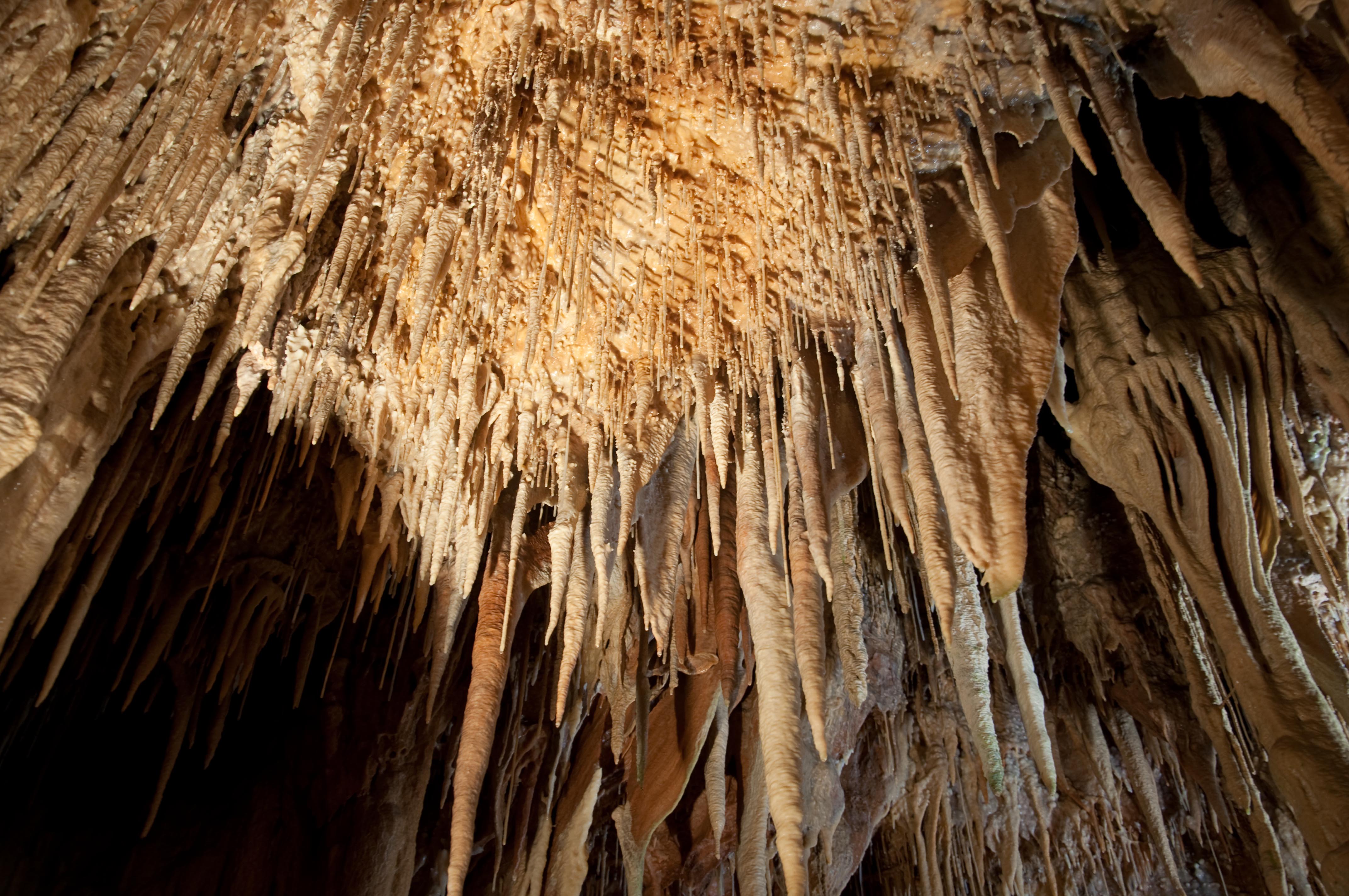 Cuevas en La Rioja: explorando maravillas subterráneas únicas