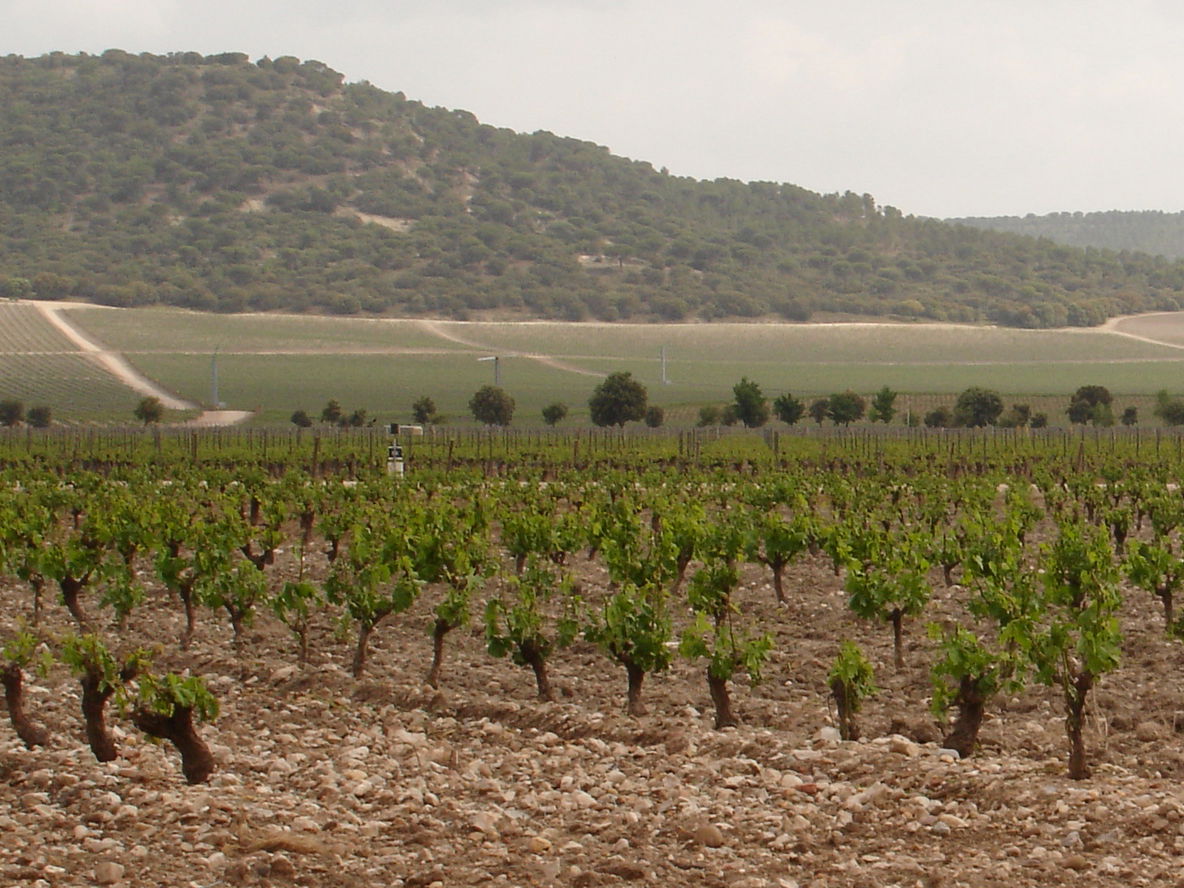 Hotel Abadia Retuerta LeDomaine, por Mou