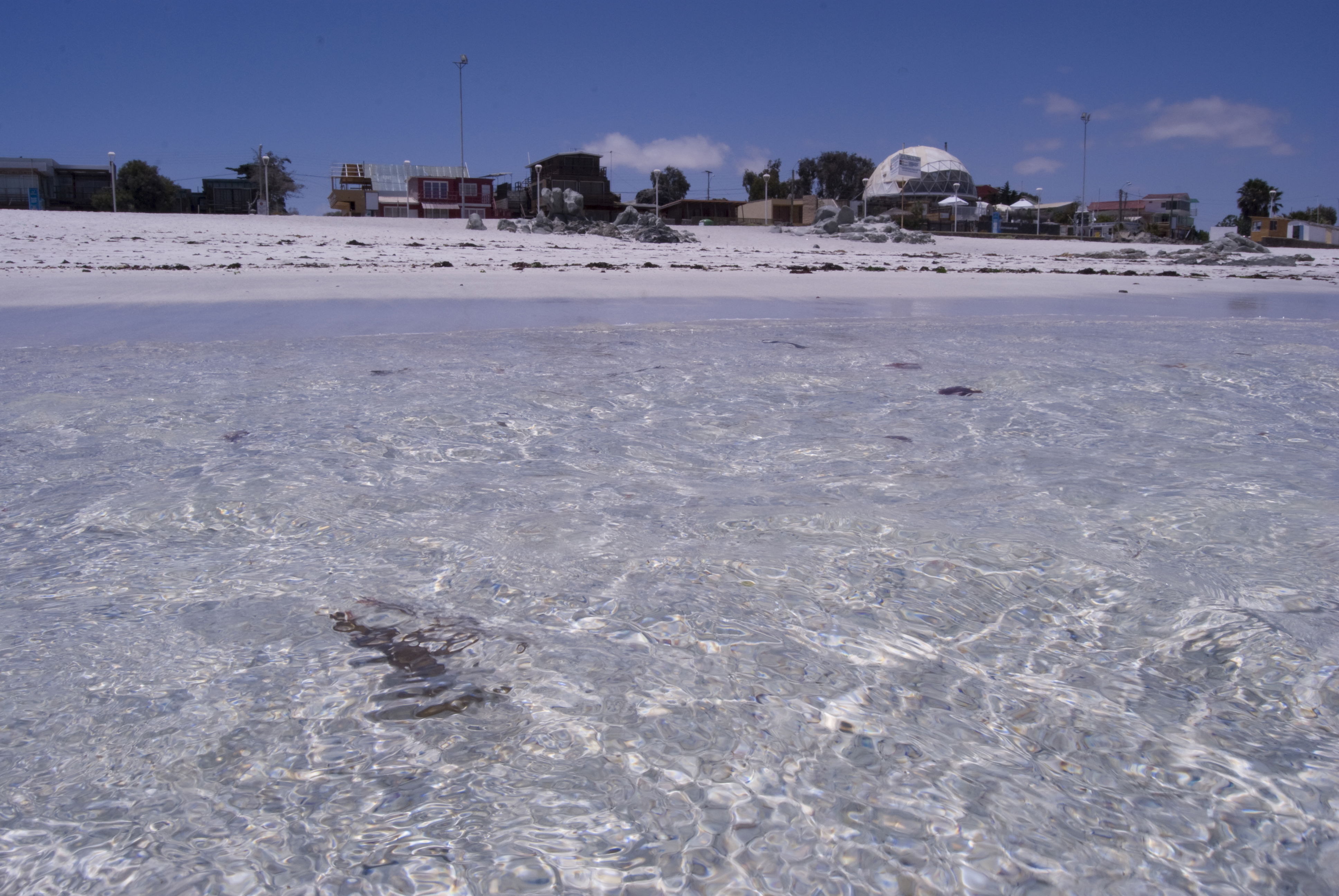 Playas de Bahia Inglesa, por Ricardo Jara