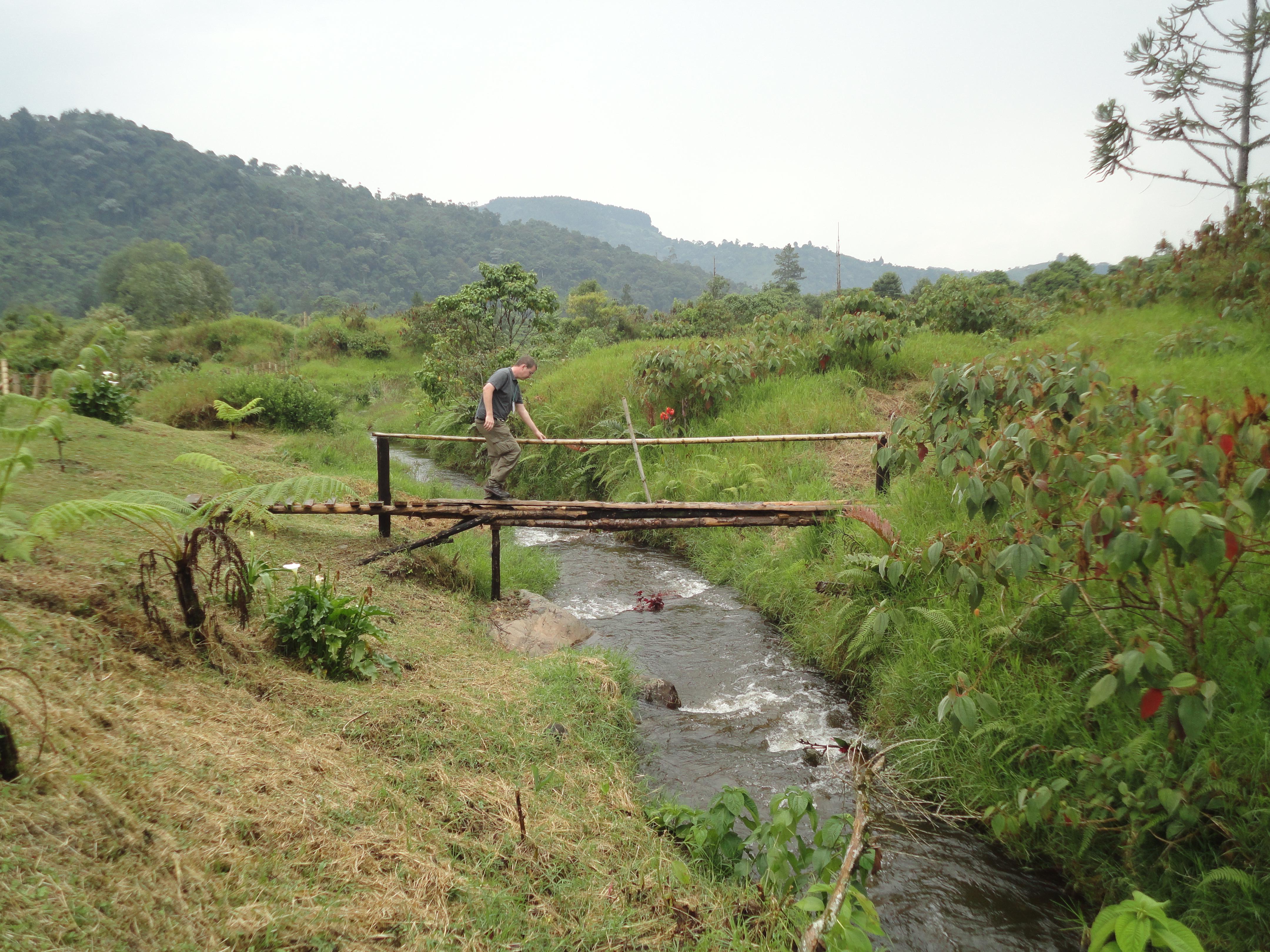 Reserva Natural Otún Quimbaya, por luz stella tisnész ocampo 