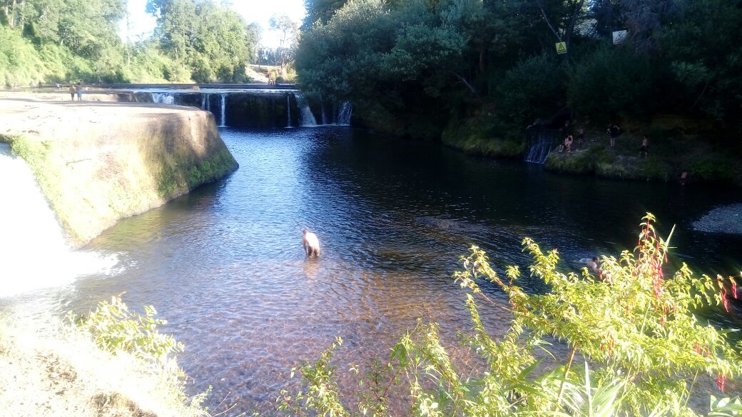 Salto El Dongui, por Danny Gamonal