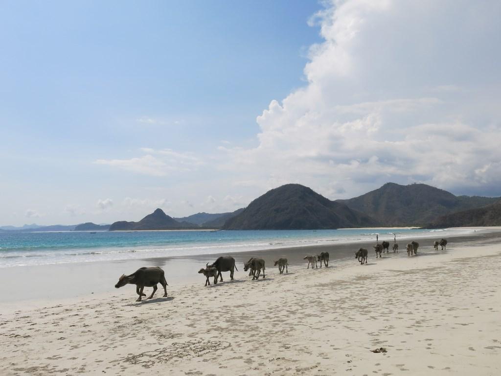 Selong Belanak Beach, por Claudia Rodríguez