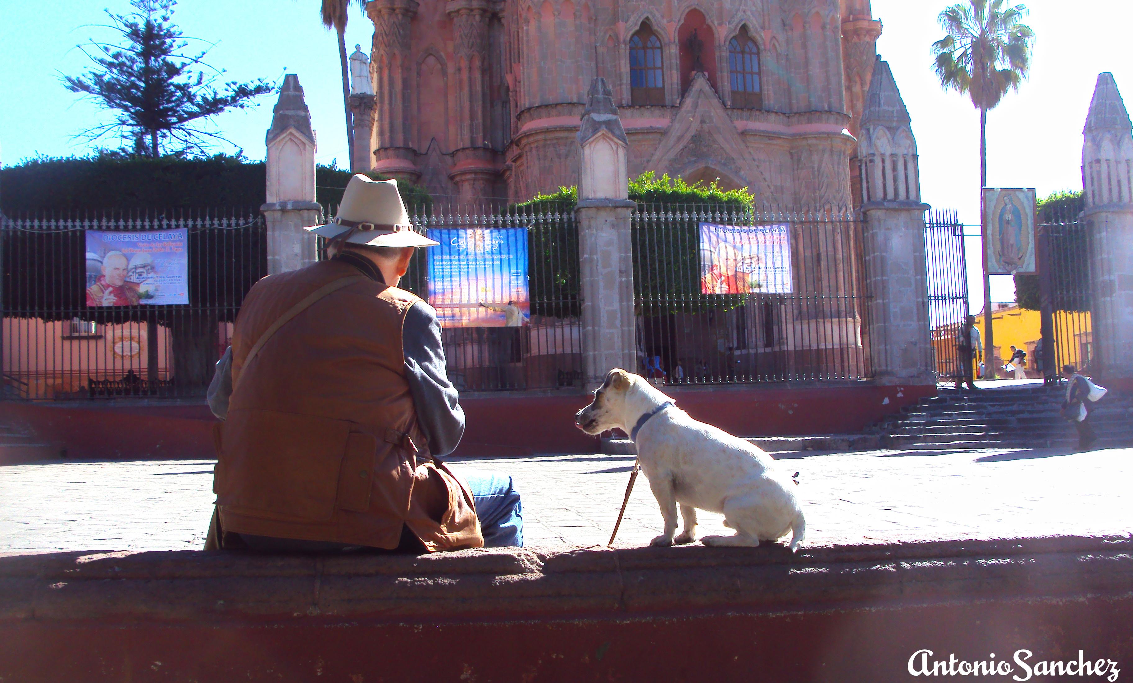 Plaza San Miguel de Allende, por antonio sanchez
