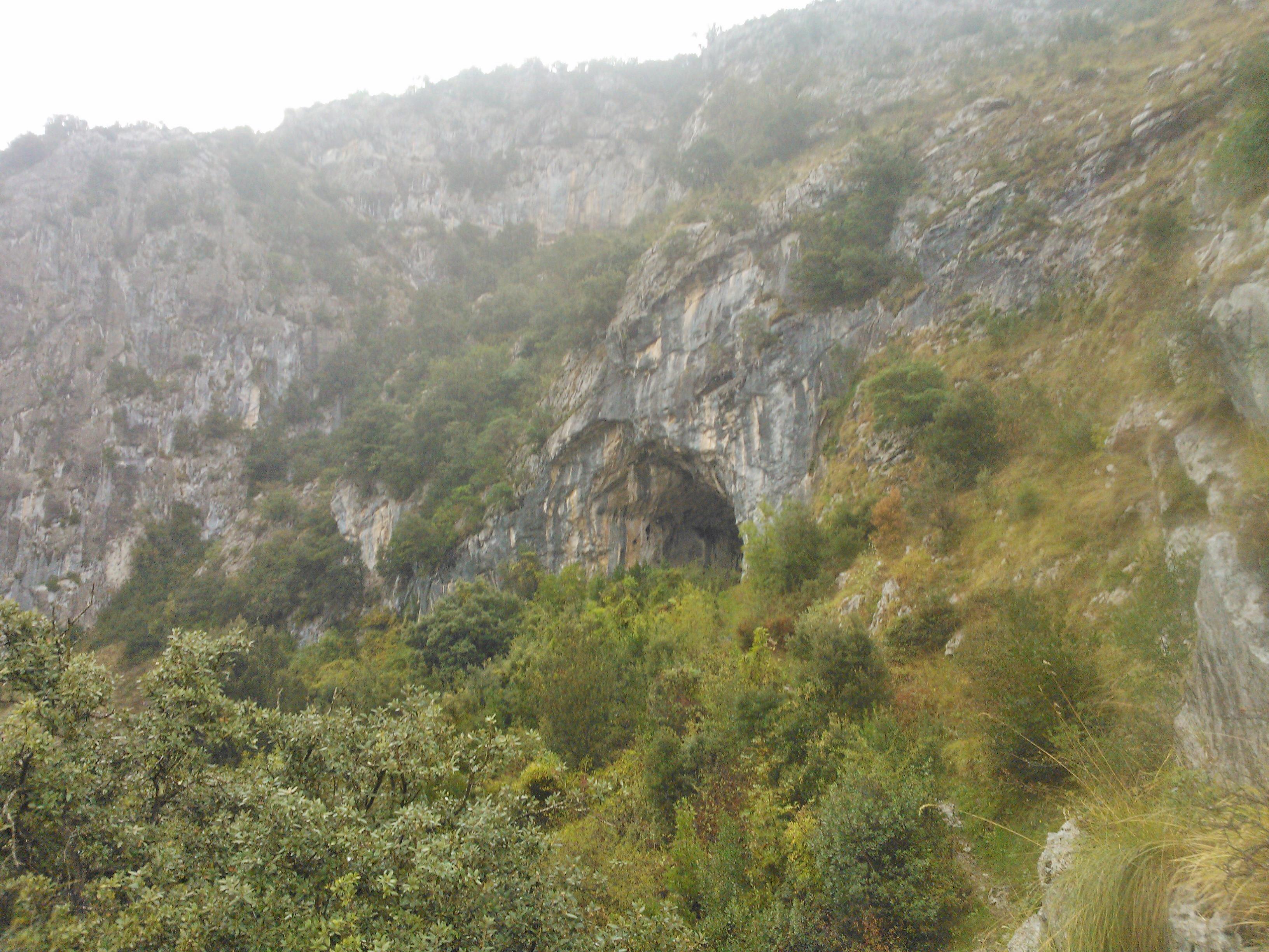 Cueva de Covalanas, por juchuflu
