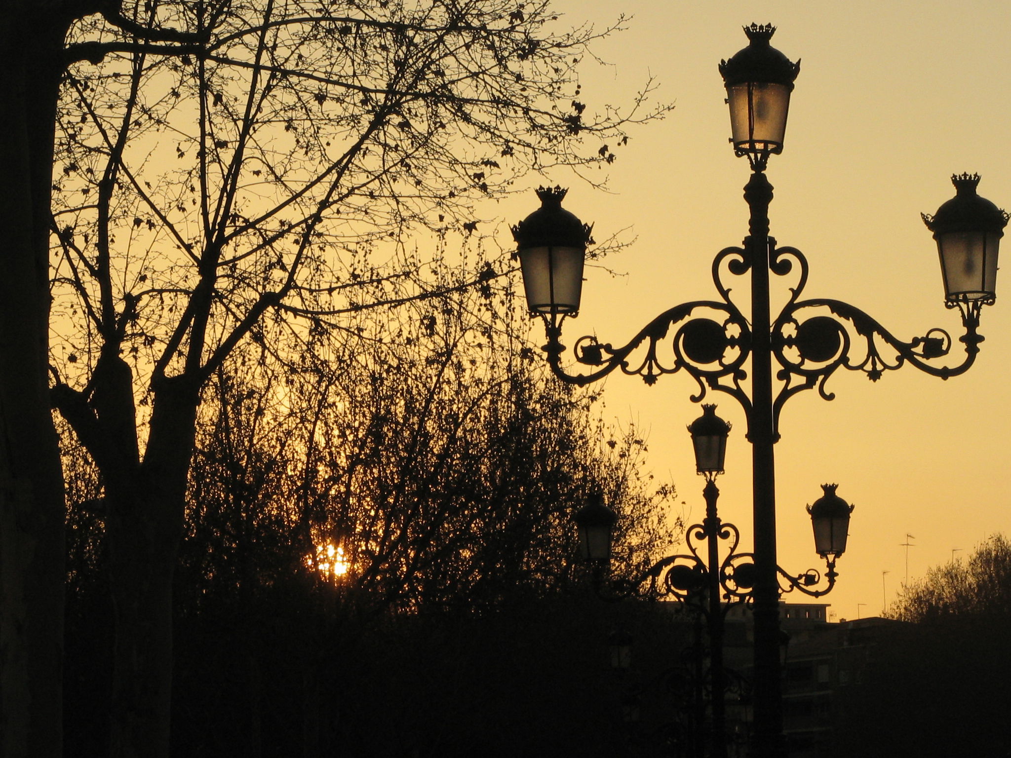 Paseo del Salón, por Andreita1987 