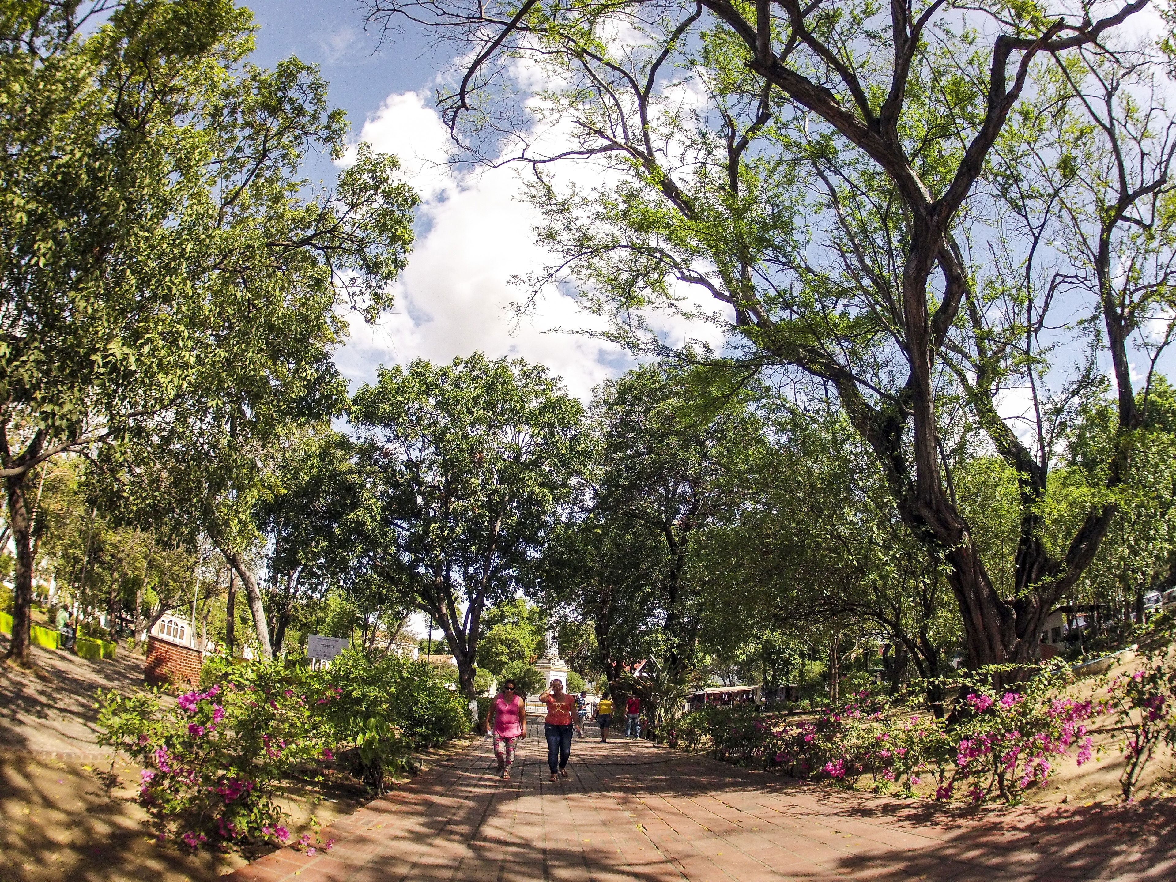 Parque Colón, por Andrew Ramírez
