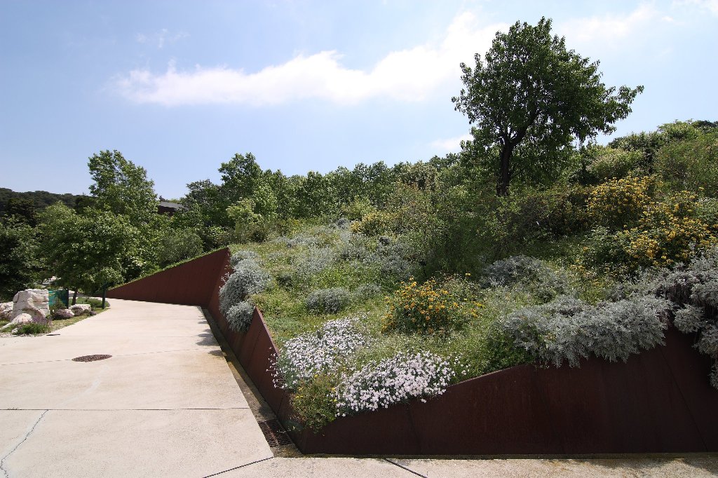 Jardín Botánico, por nuria
