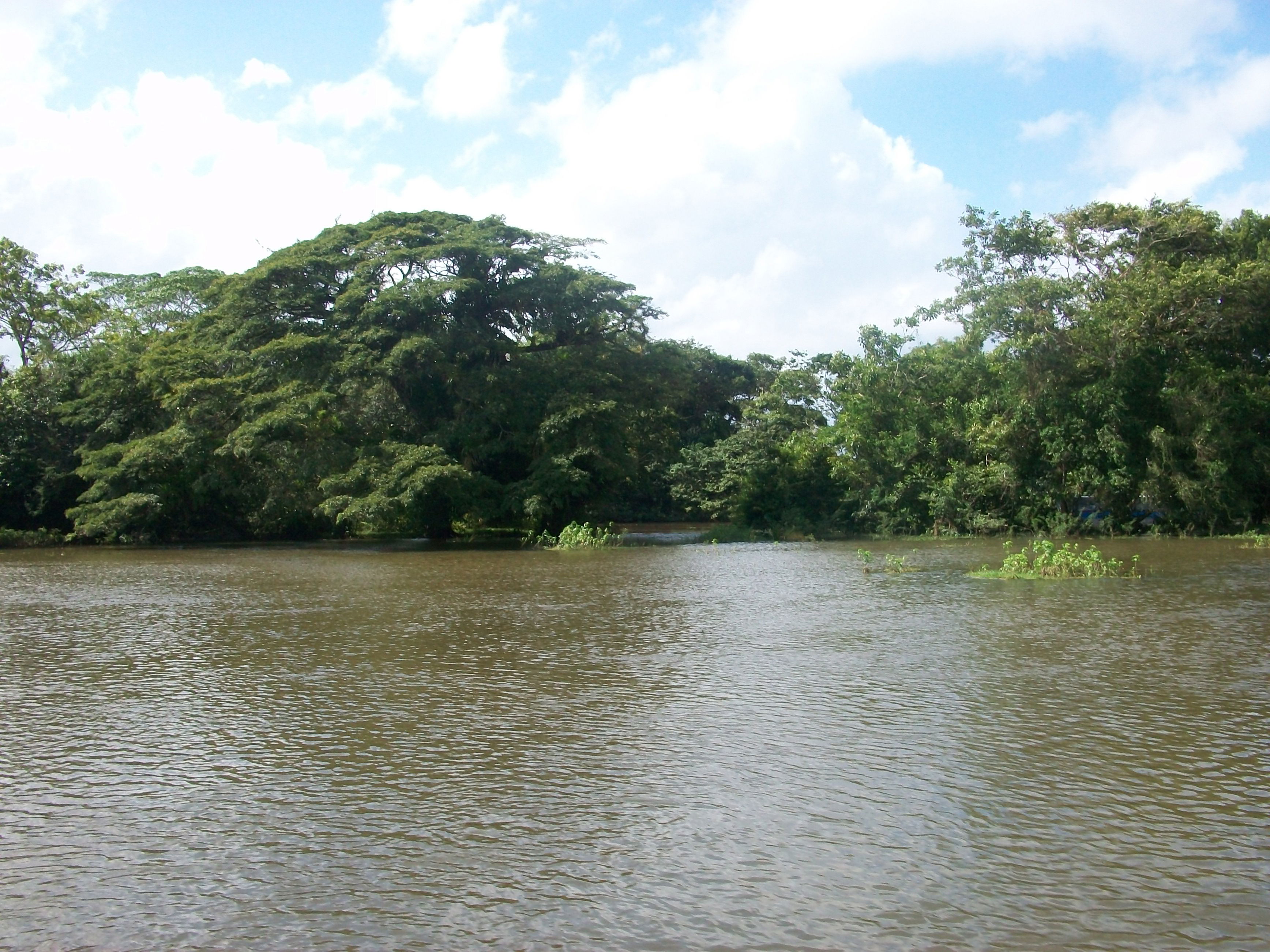 Rio frio, por Coline