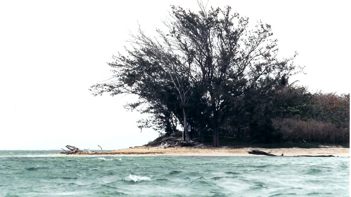 Punta Antón Lizardo, por José Hernández Herrerías