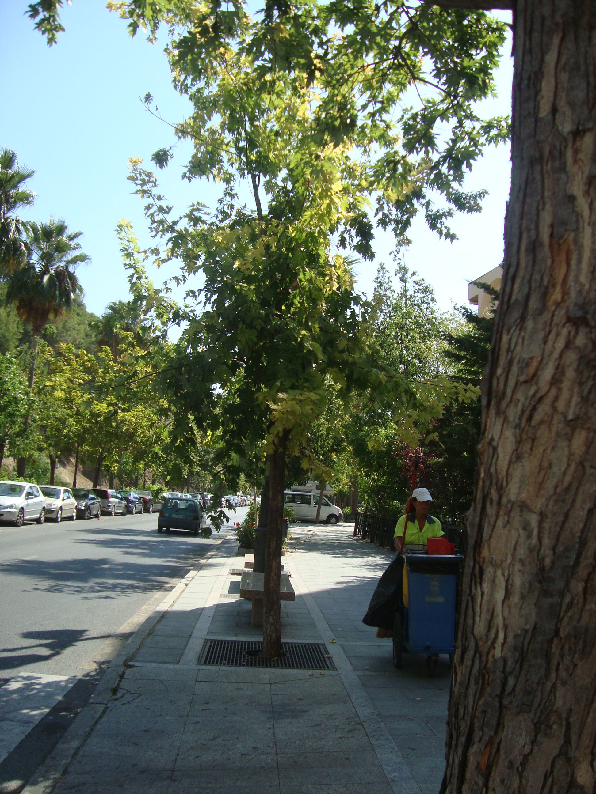 Calle de Jacinto Benavente, por Marta Pilar
