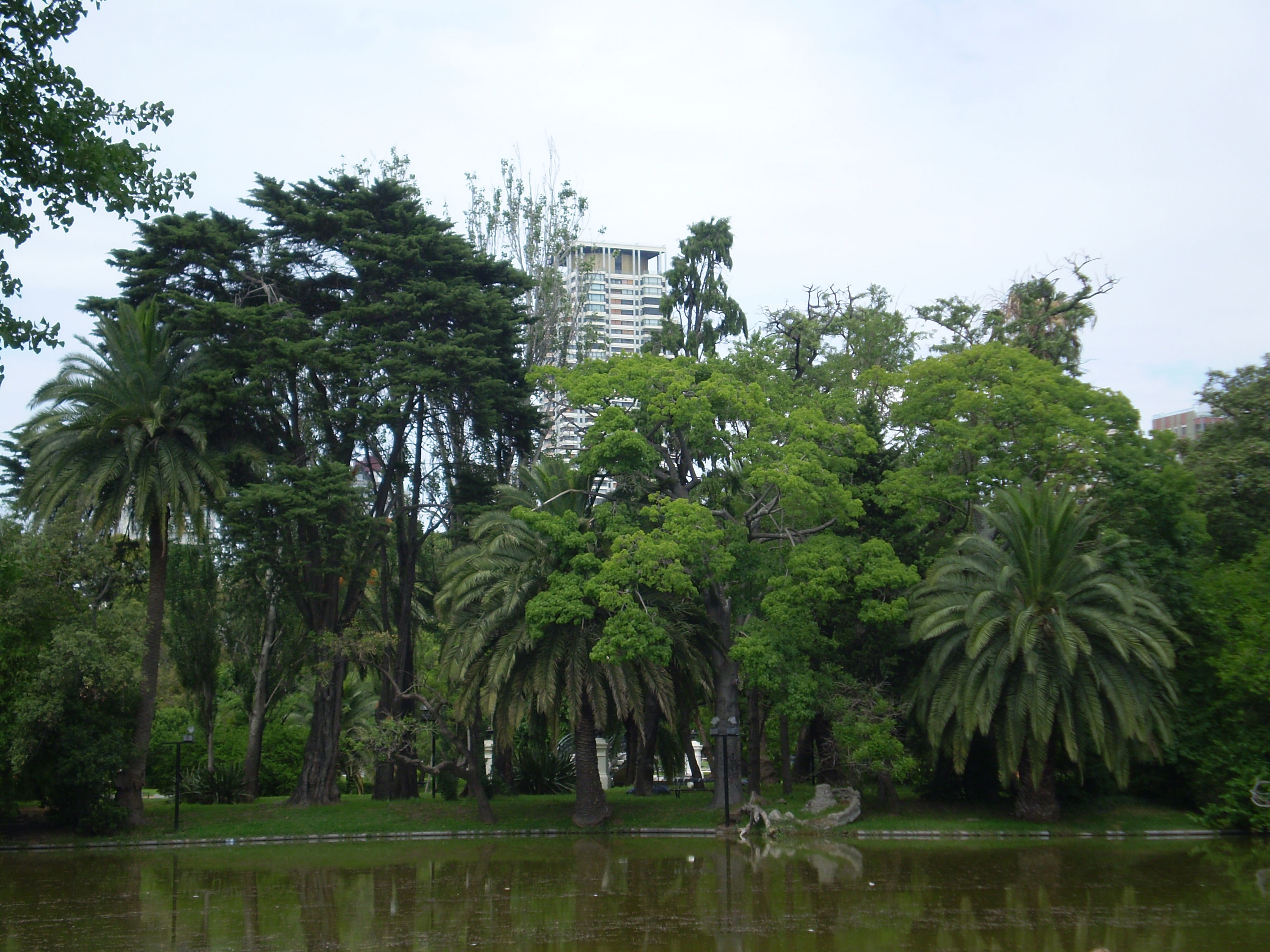 Rosedal de Palermo, por patiry