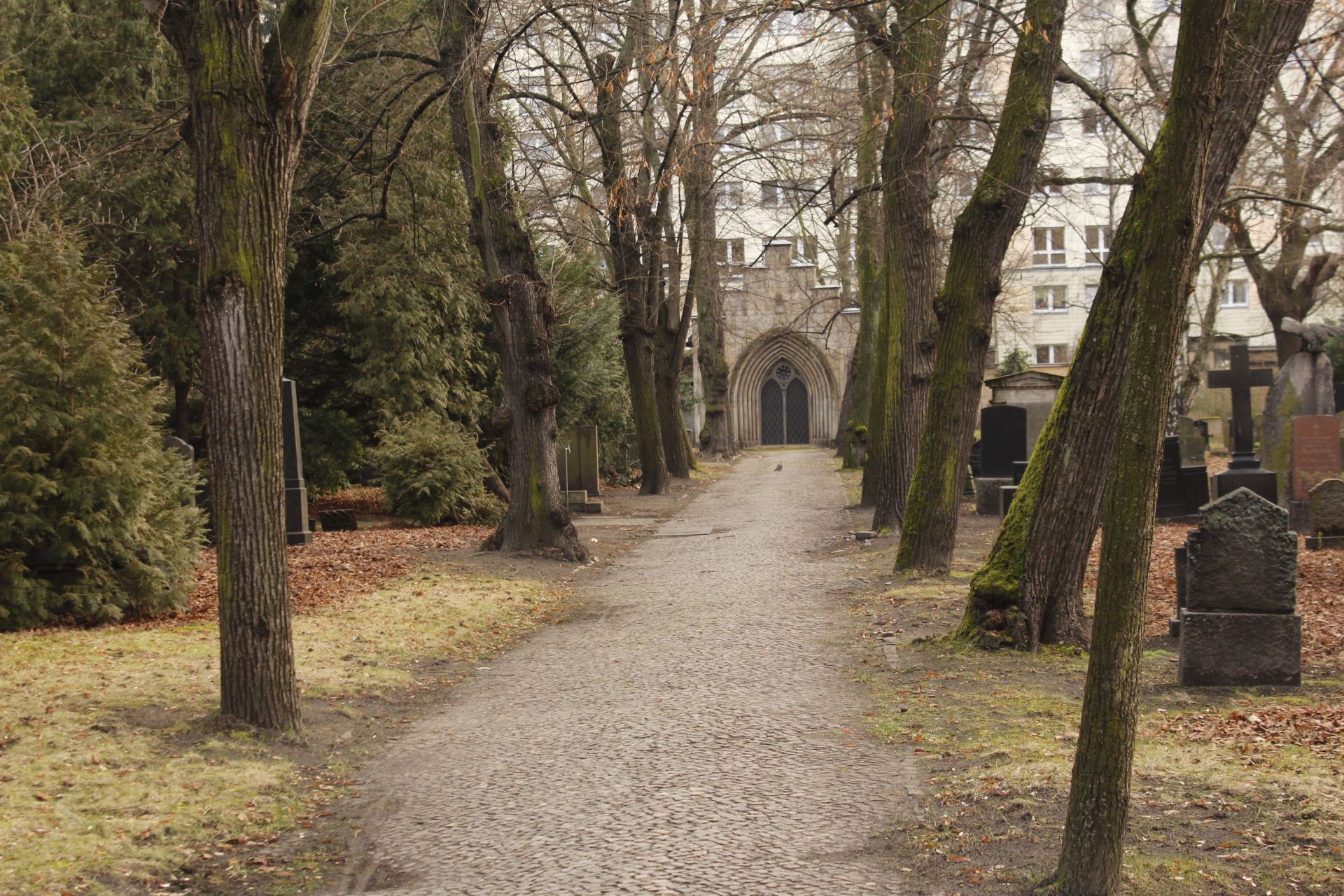 Cementerio de San Nicolás y Santa María, por Sebastian Muñoz