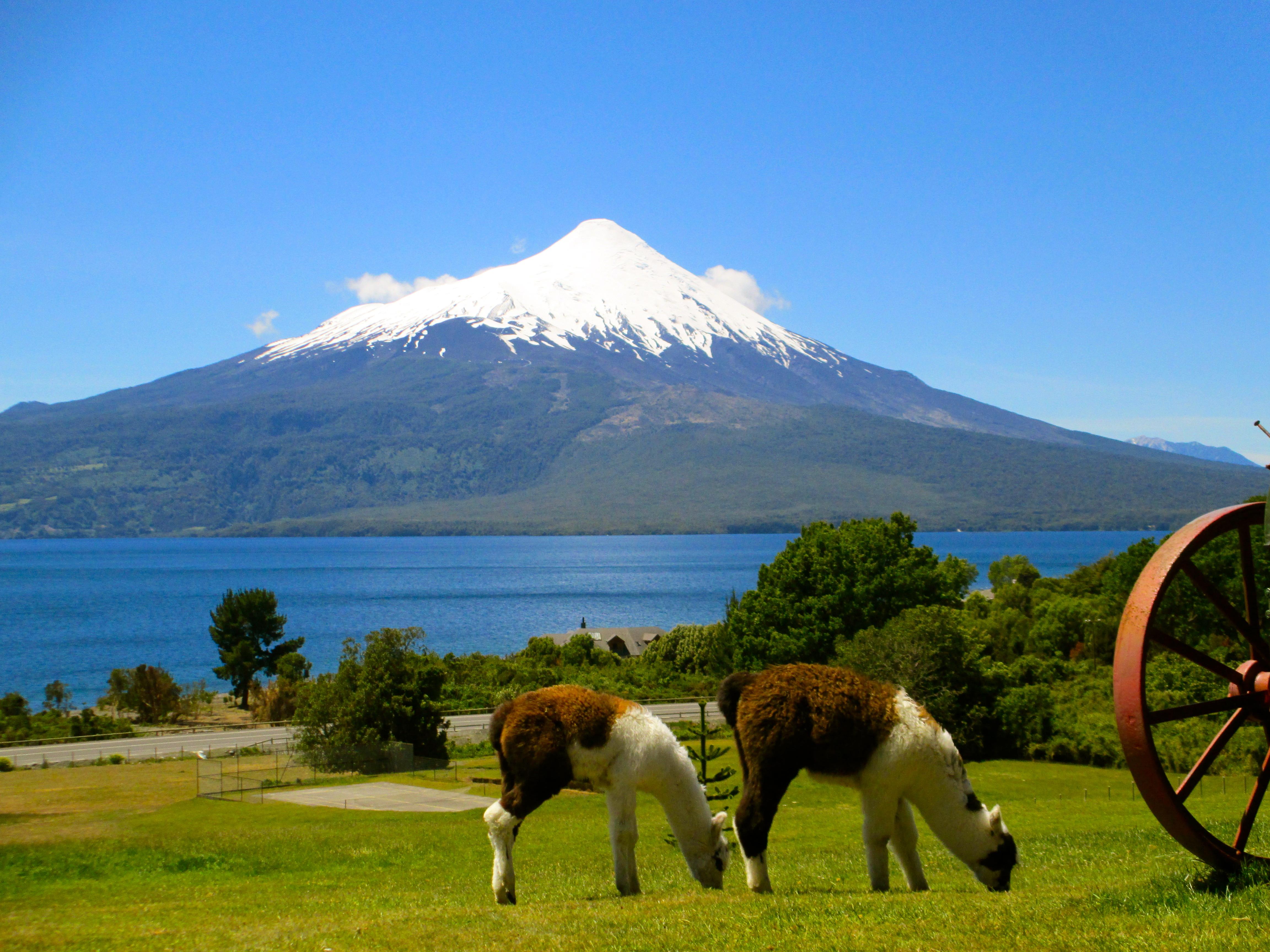 Descubre los puertos en Los Lagos y su encanto natural sin igual