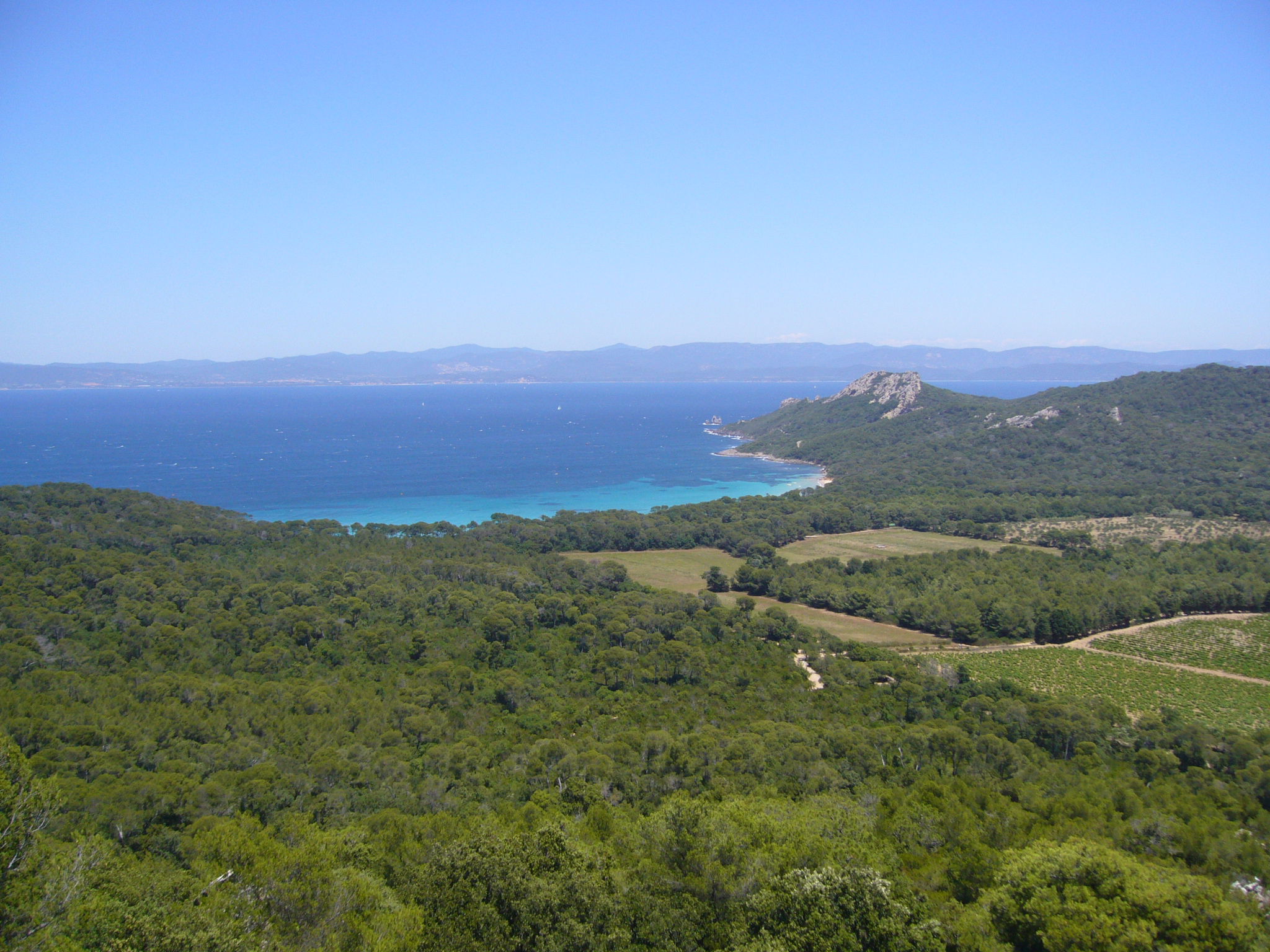 Conservatorio botánico nacional mediterráneo de Porquerolles, por guanche