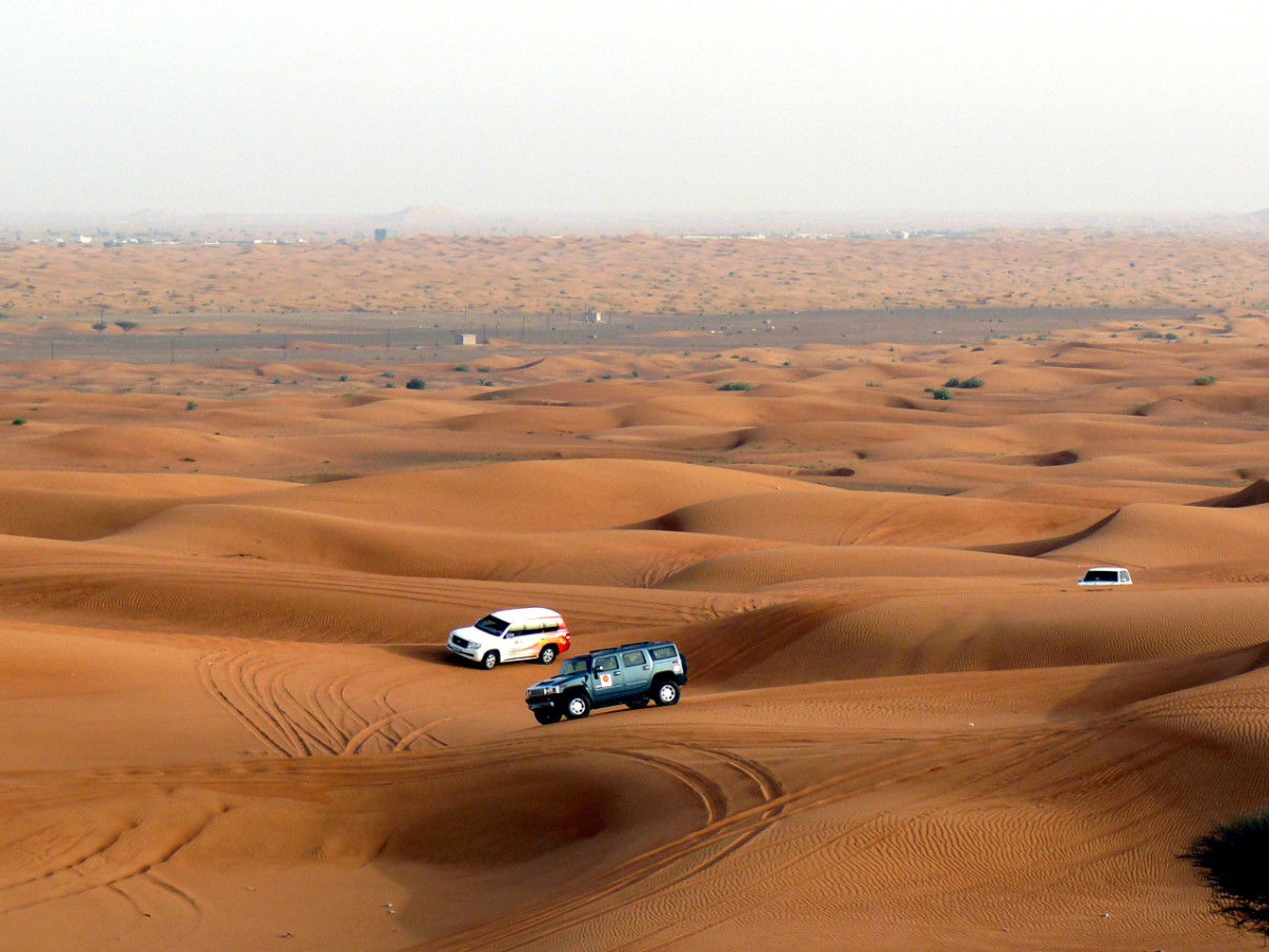 Safari por el desierto, por macgreg