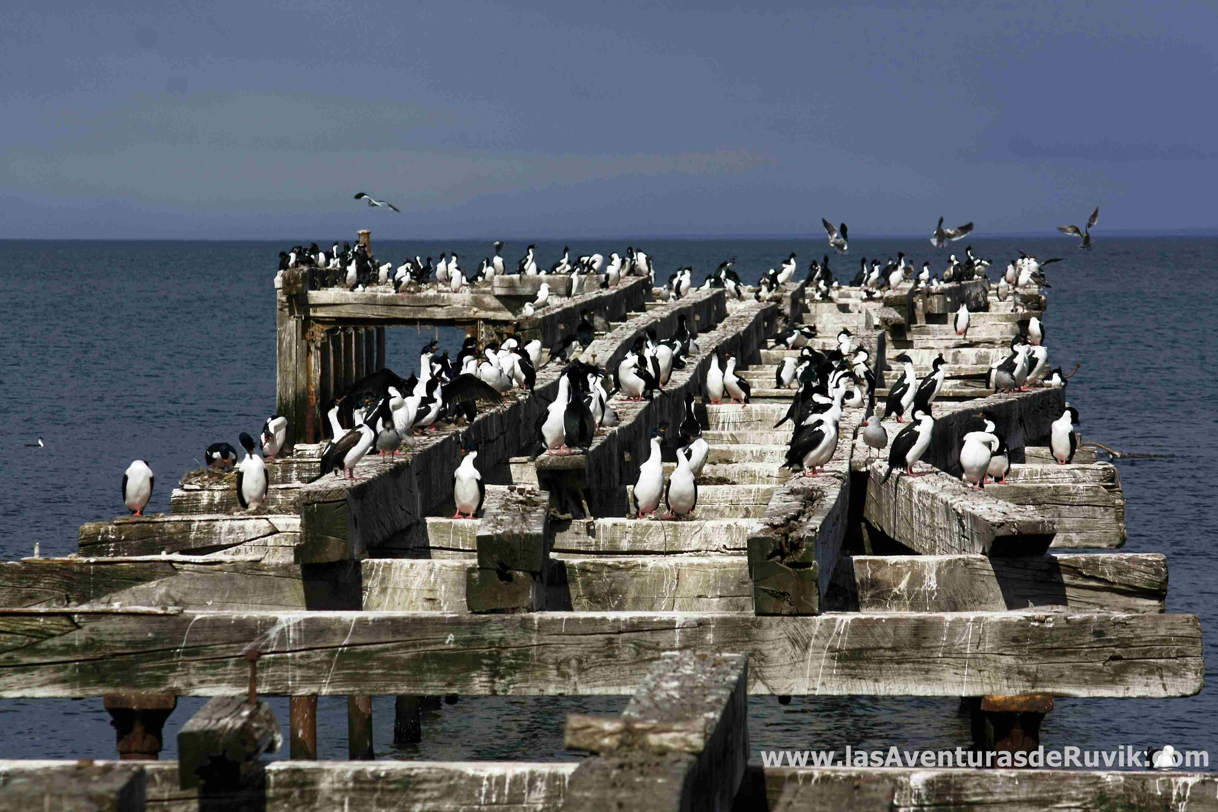 Antiguo Muelle, por Las Aventuras de Ruvik