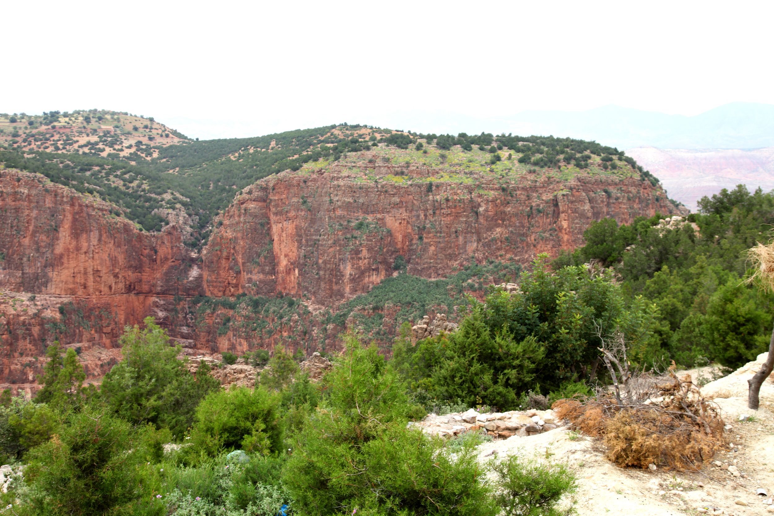 Gorges d'El-Abid, por GERARD DECQ
