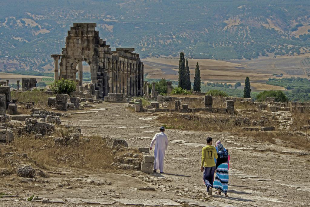 Volubilis, por Edson Lima