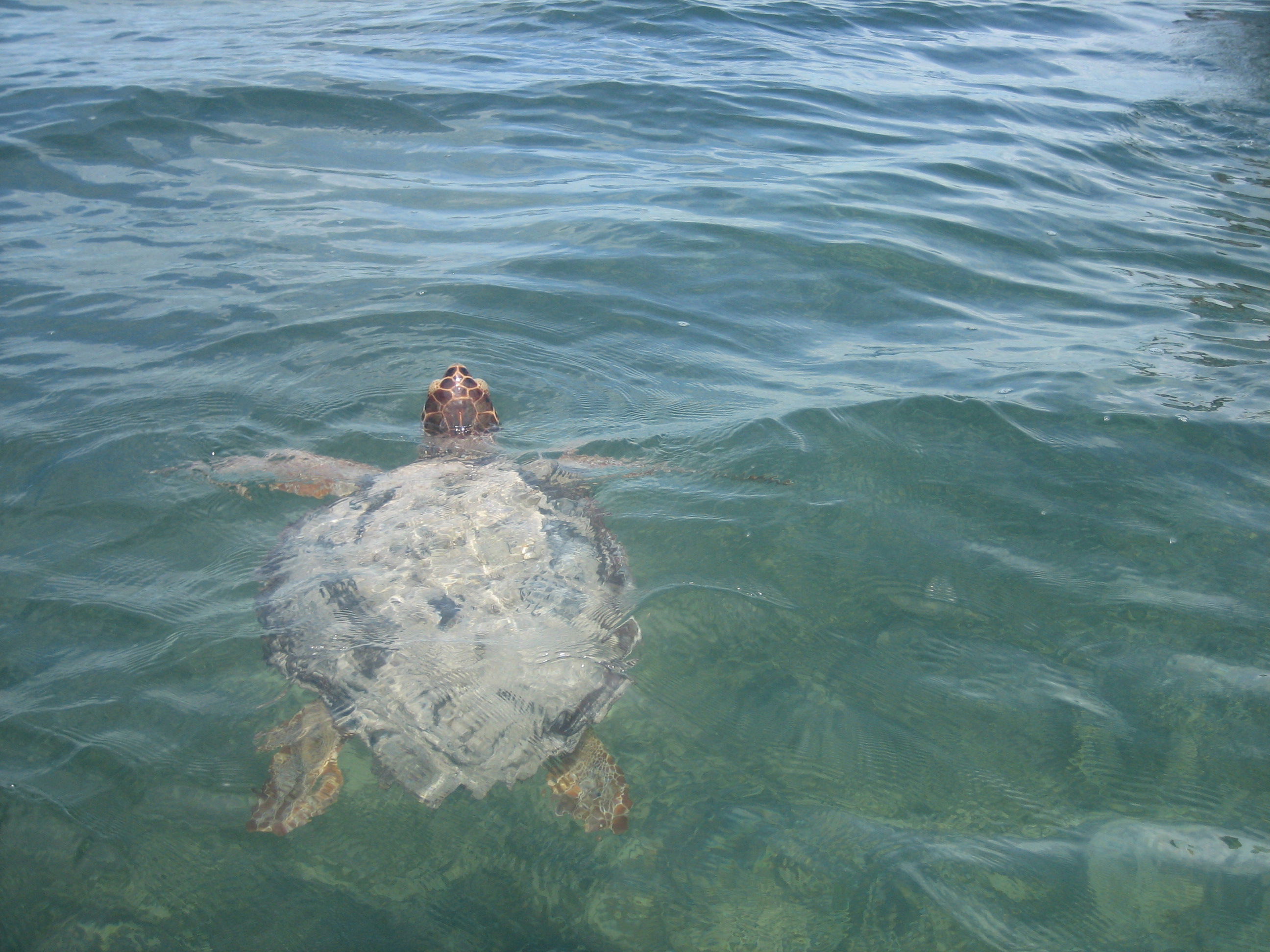 Reserva de la Biosfera de Sian Ka'an, por jrgil