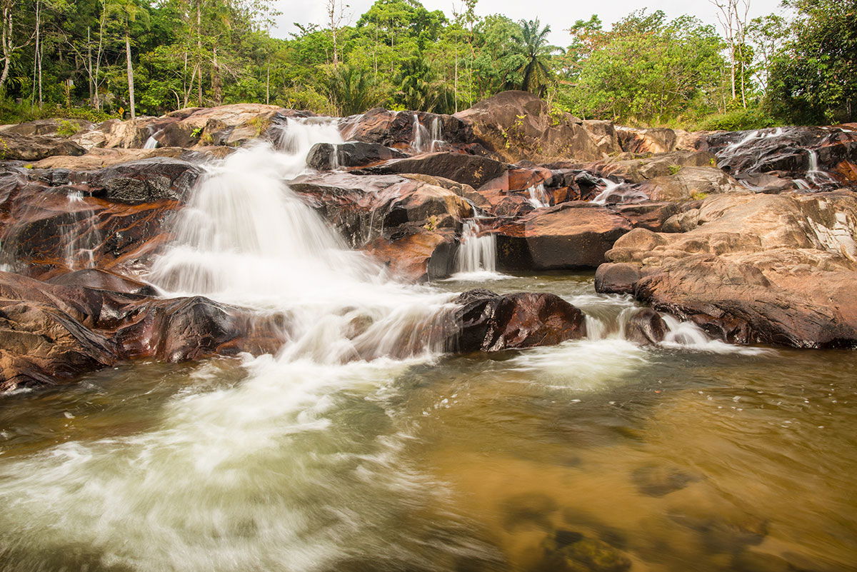 Estación de Conservación y Desarrollo de la vida salvaje de Khao Chong, por Turismo Tailandia