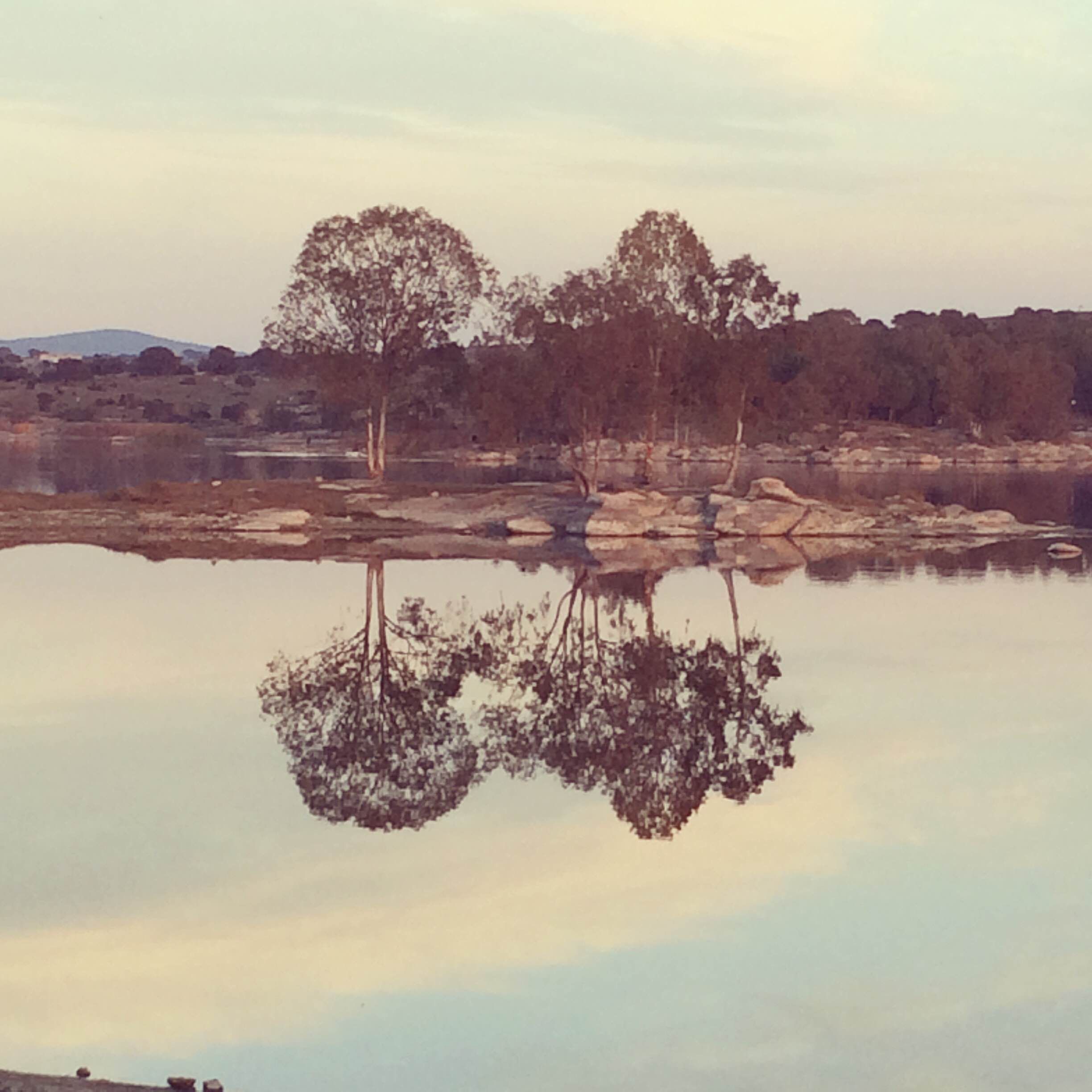 Pantano de Proserpina, por Ines Fernández
