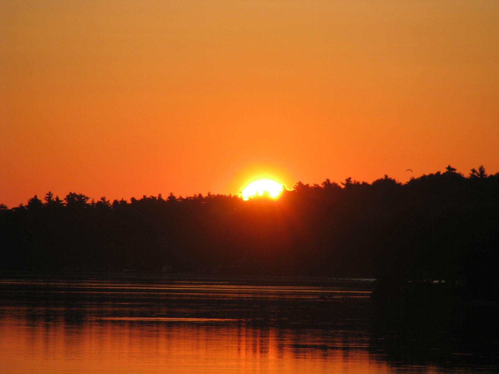 Lago Ontario, por patricia saenz