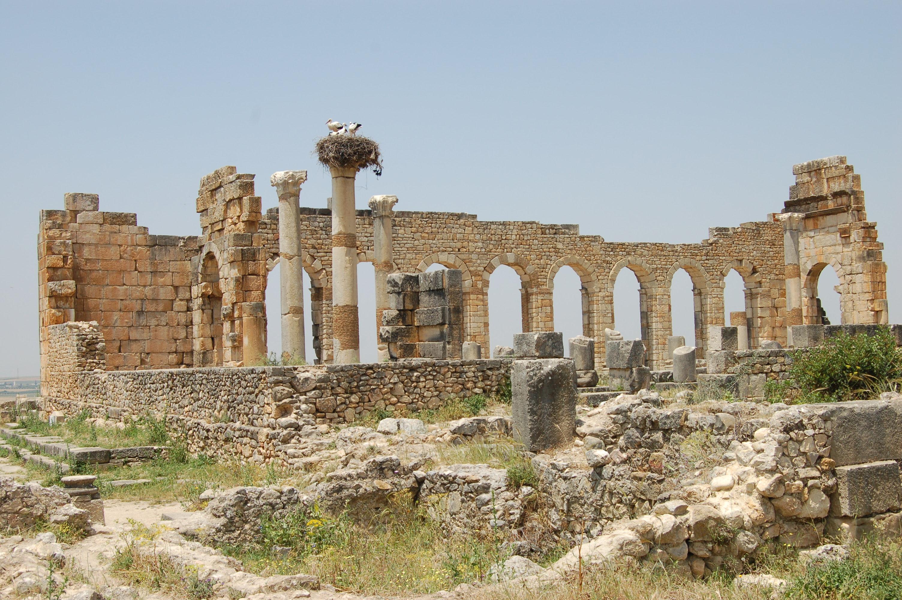 La Basílica de Volubilis, por Kris por el mundo