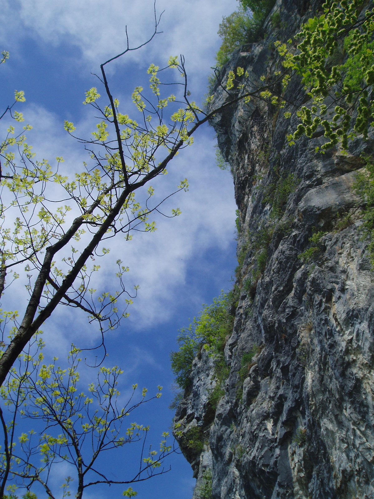 Walensee, por Benito Martin