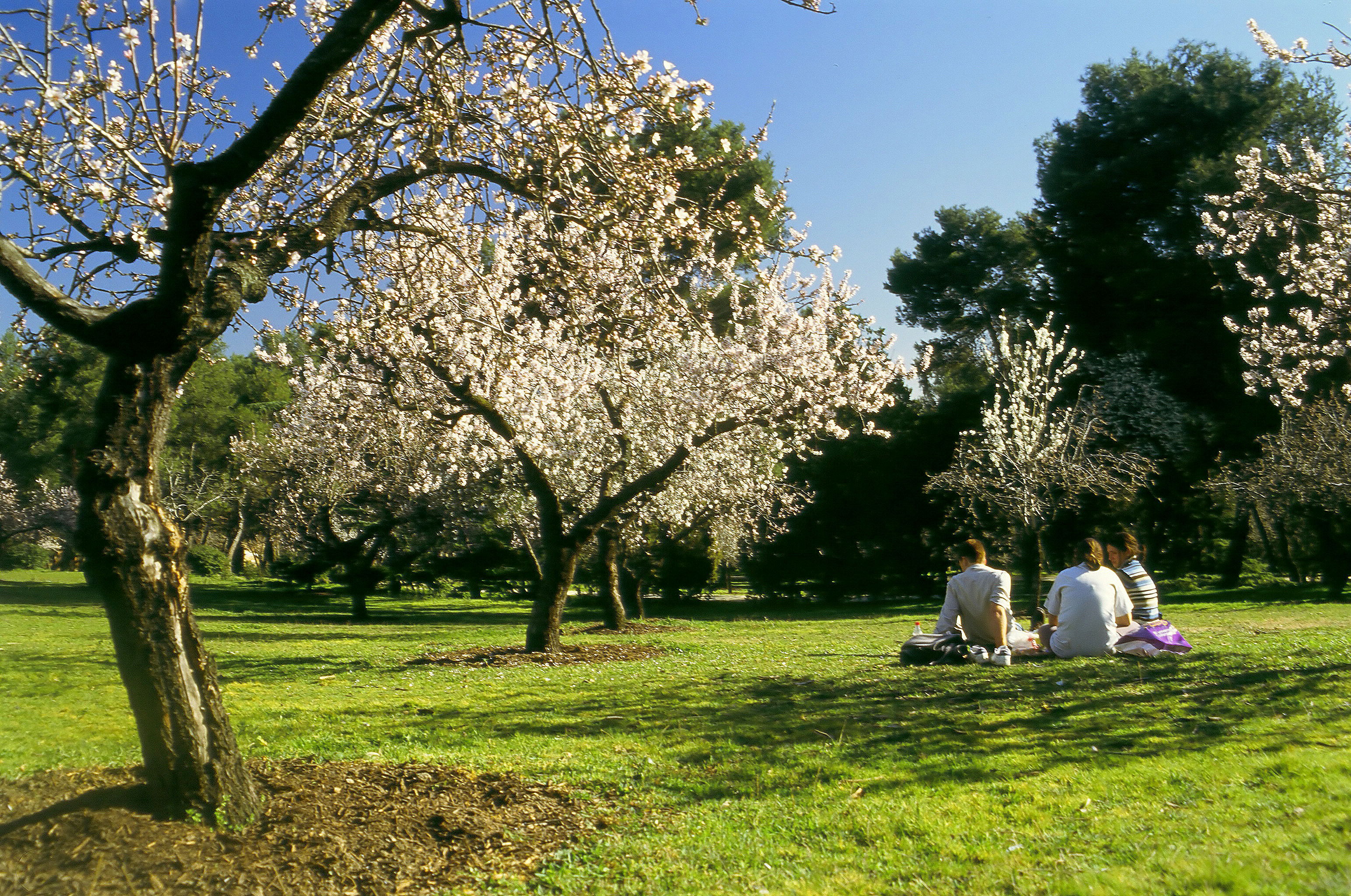 Parque Quinta de los Molinos, por naxos
