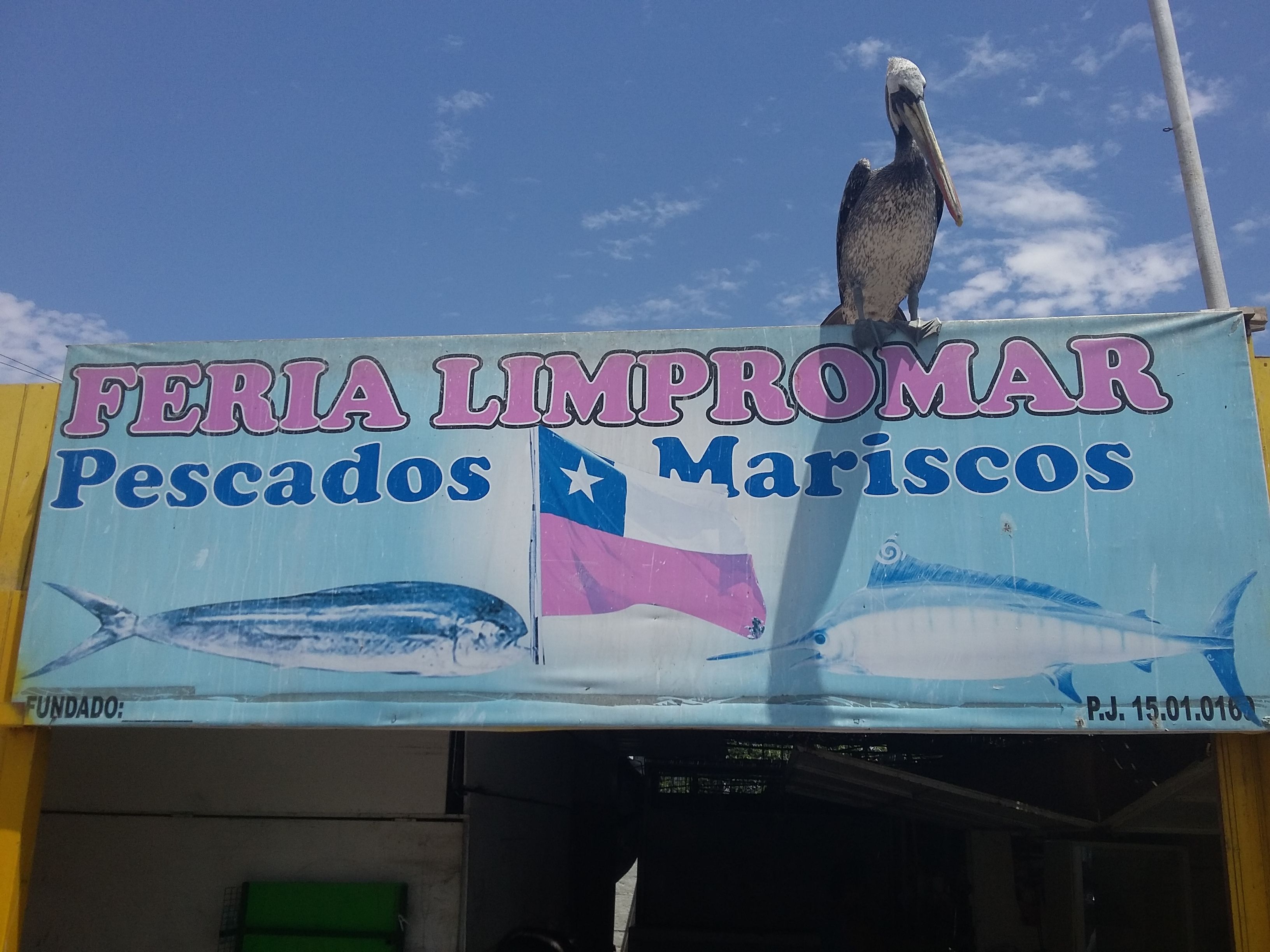 Feria Limpromar Pescados y Mariscos en Arica: 1 opiniones y 10 fotos