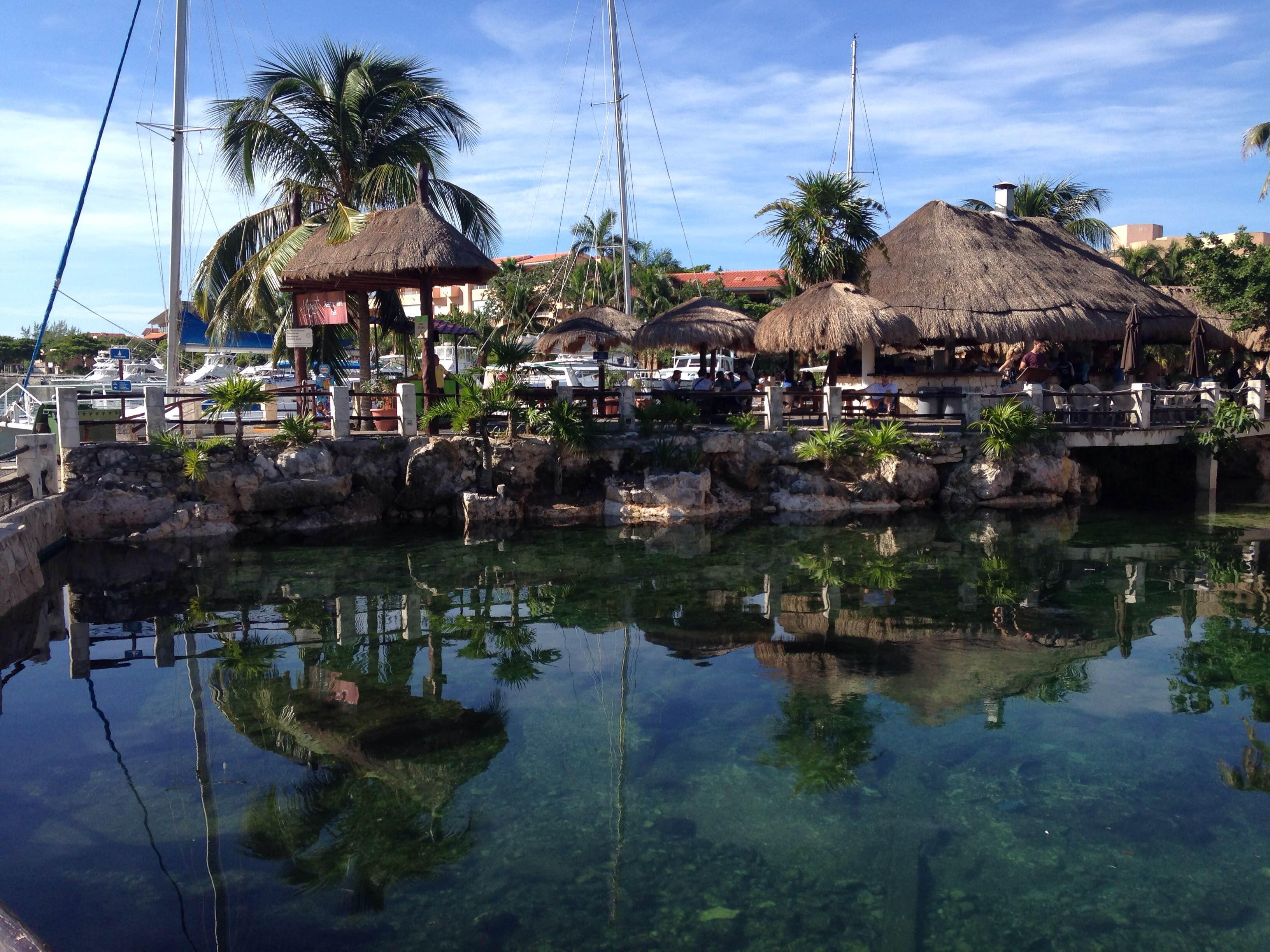 Dolphin Discovery Riviera Maya, por Veronica Trujillo Goldstein