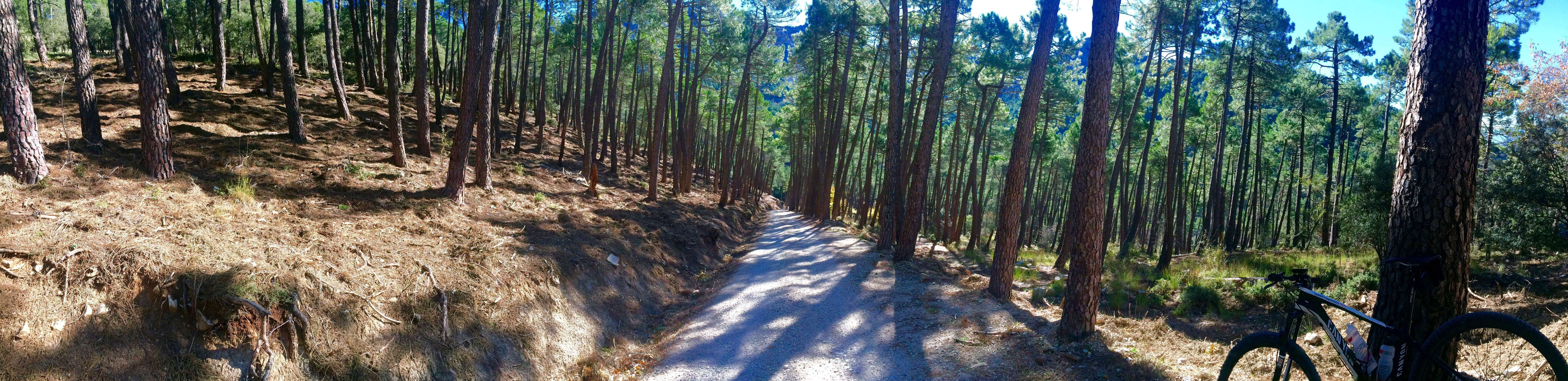 Pasar un fin de semana en Cazorla