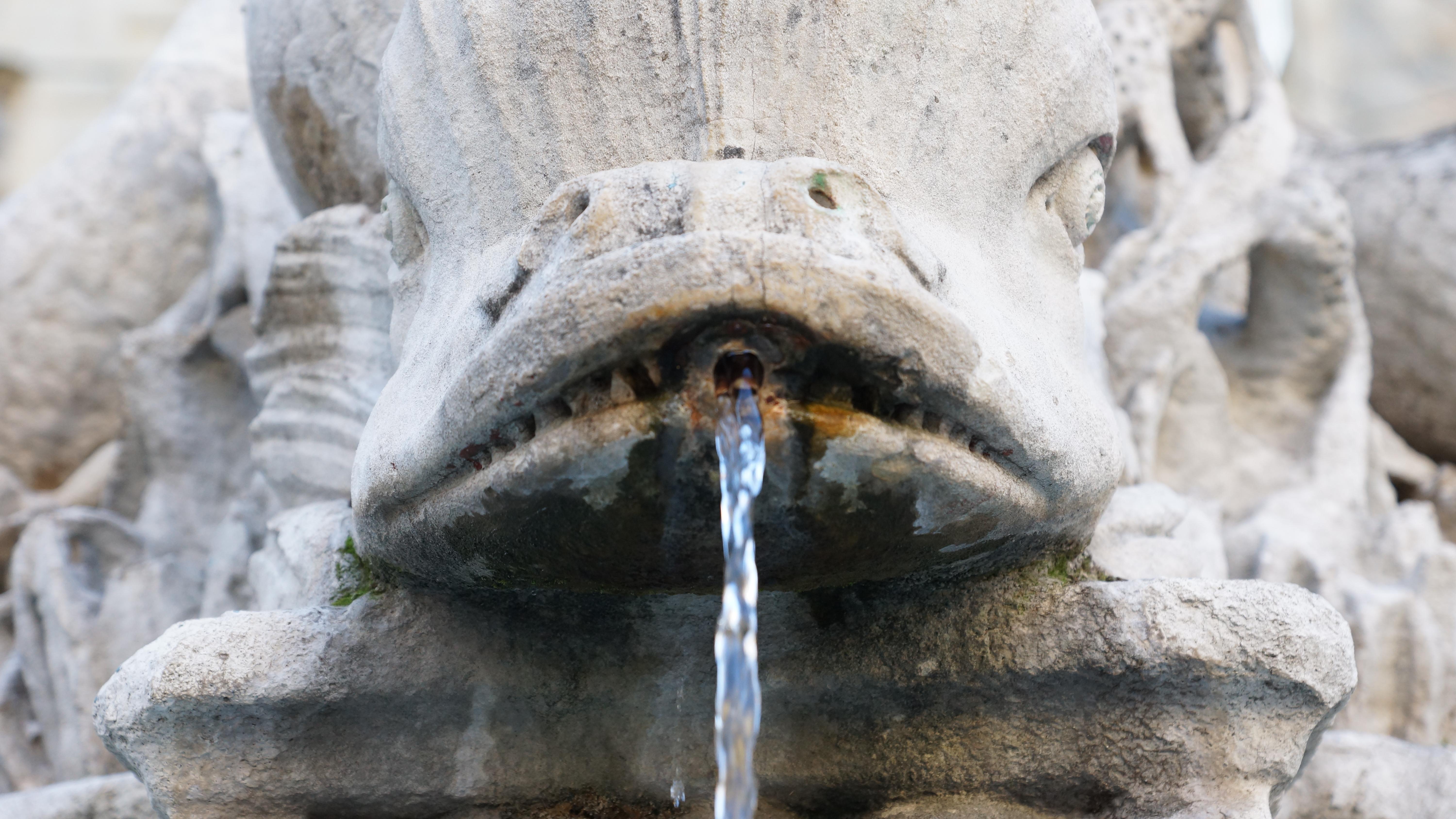 Fontaine aux 4 dauphins, por Anne-Laure Caquineau