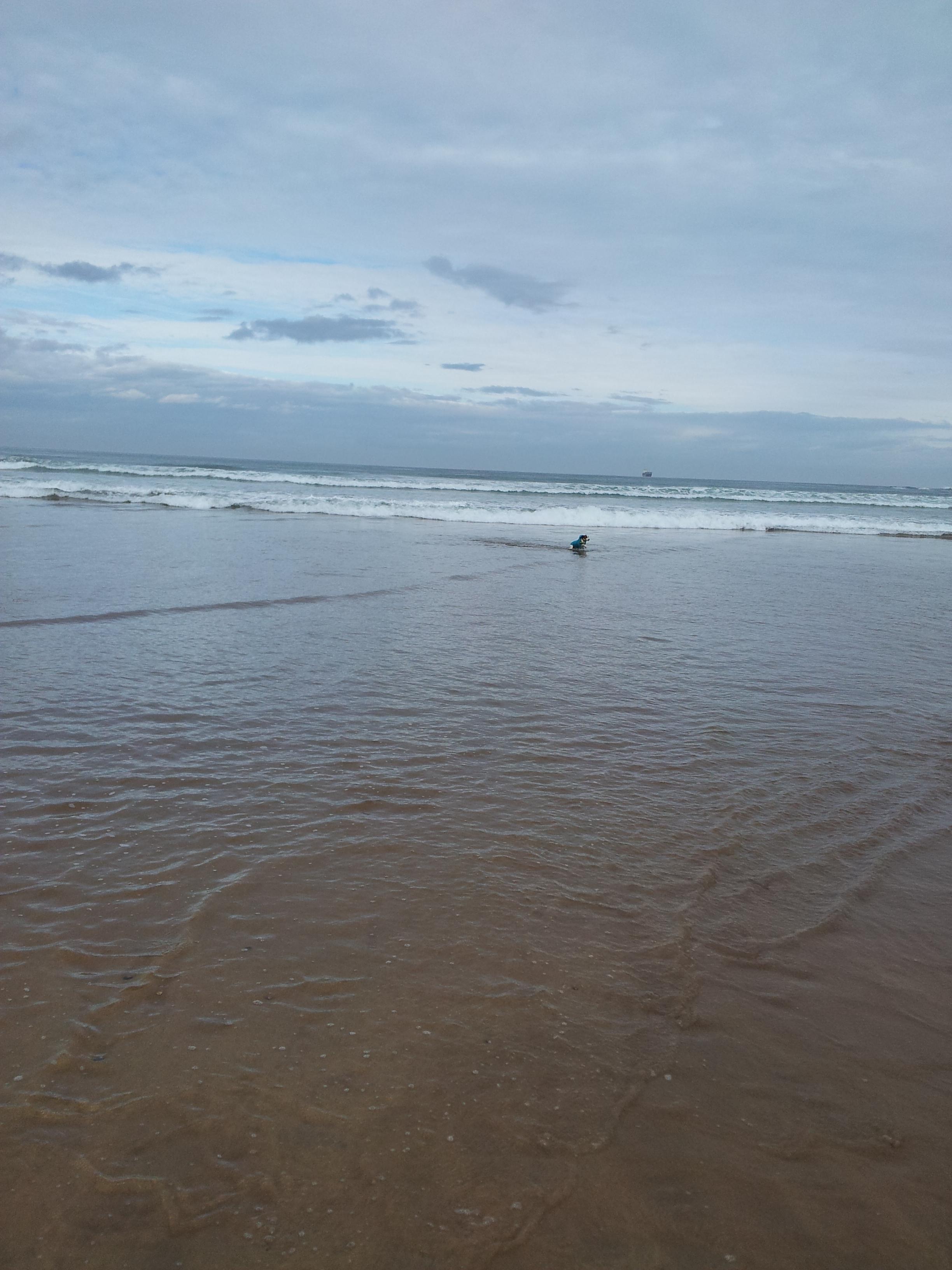 Playa La Arena, por selene