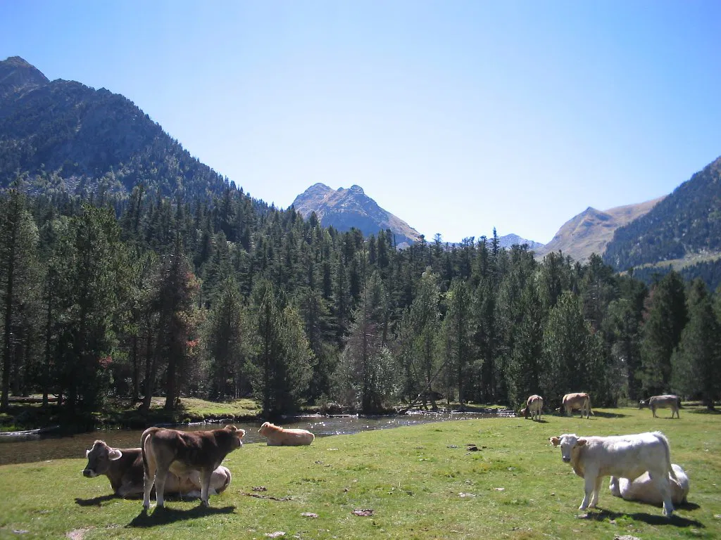 Parque Nacional de Aigüestortes, por nuria
