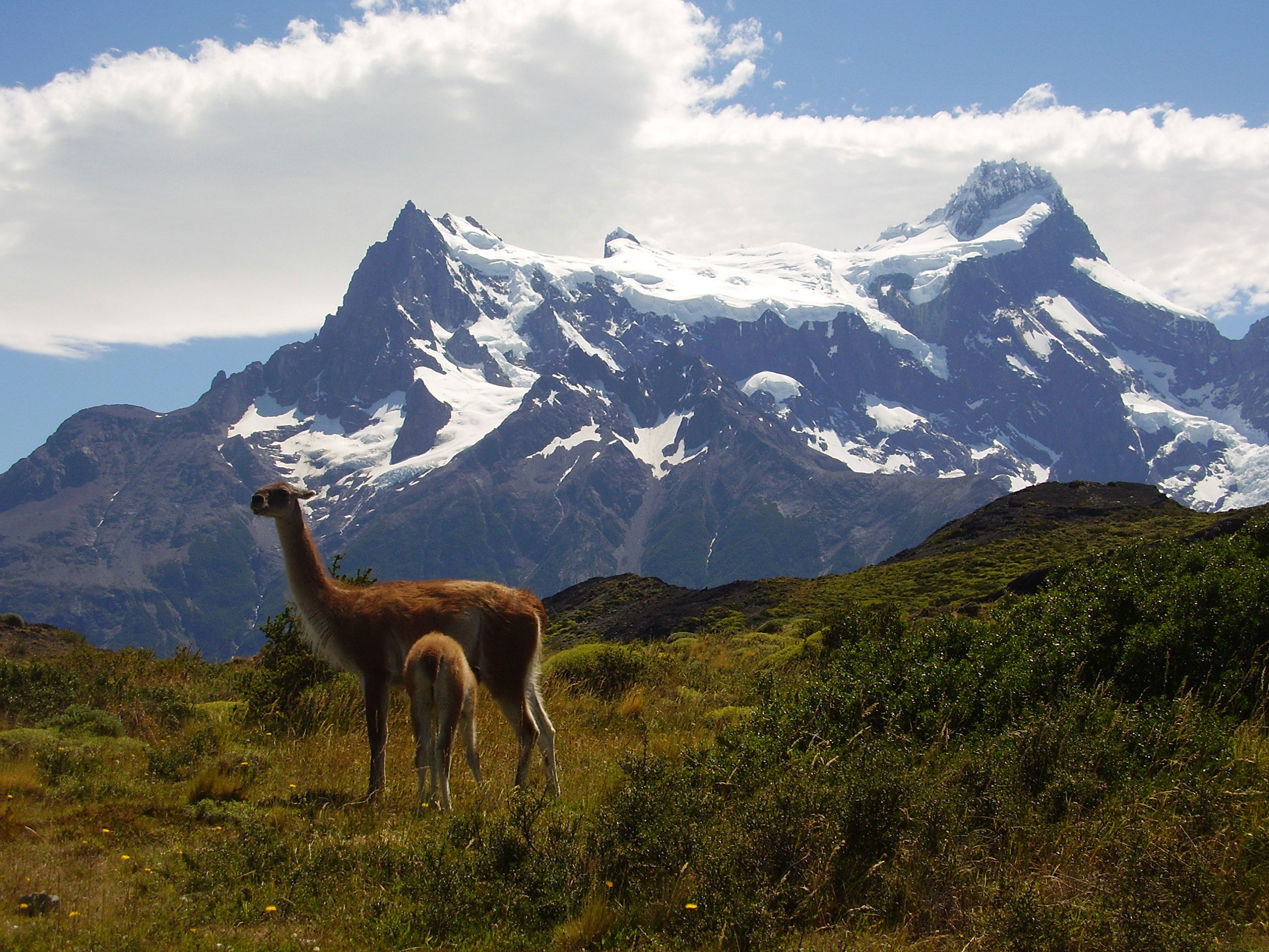 Circuito W en Torres del Paine, por Os Caminhantes Ogrotur