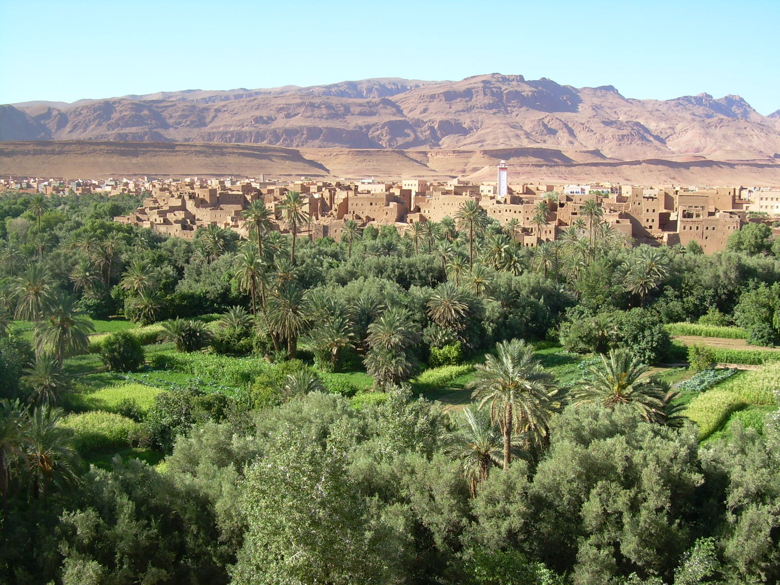 Oasis de Tafilalet, por supercastell
