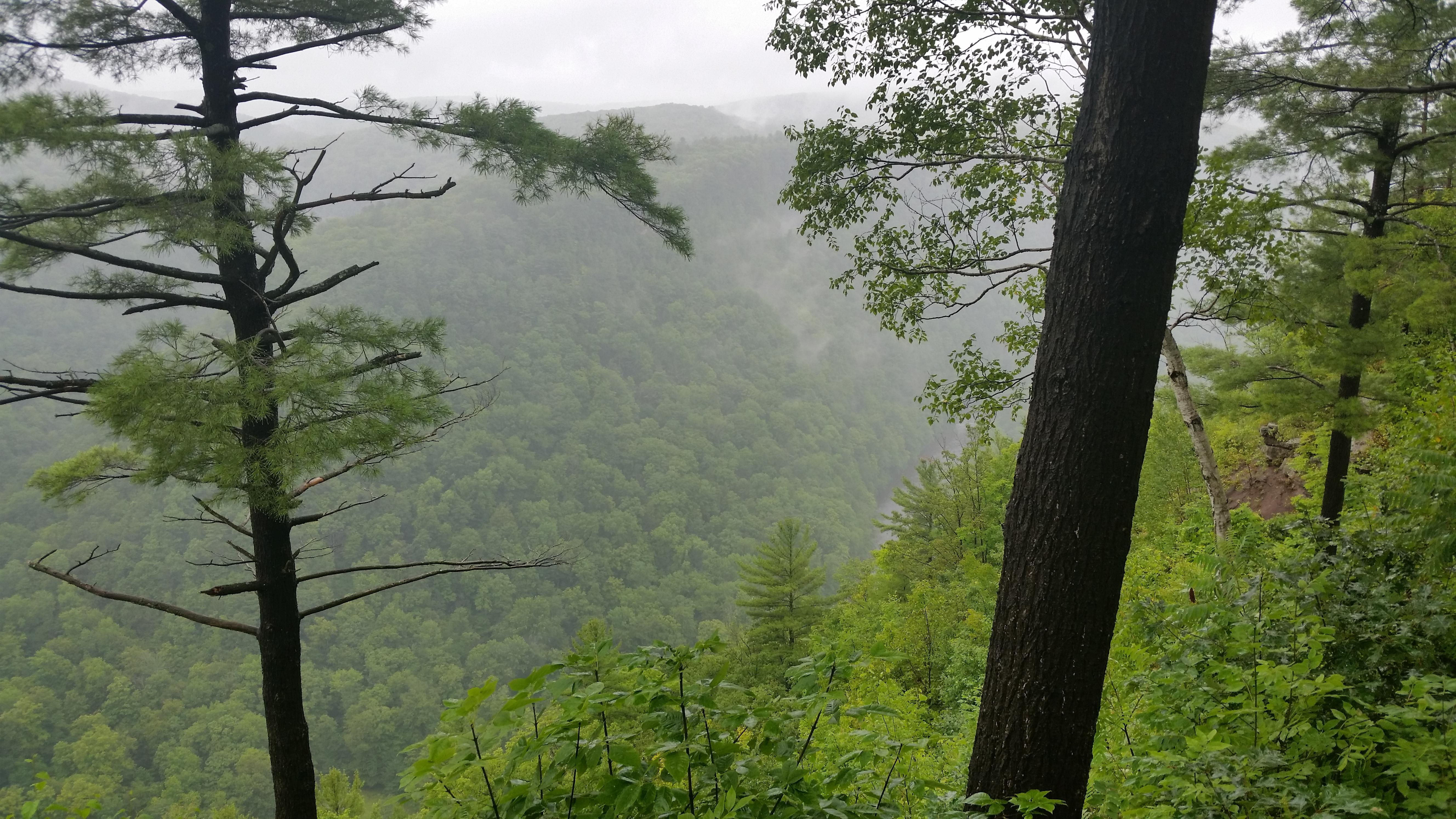 Aire libre en Pennsylvania: Explorando sus maravillas naturales