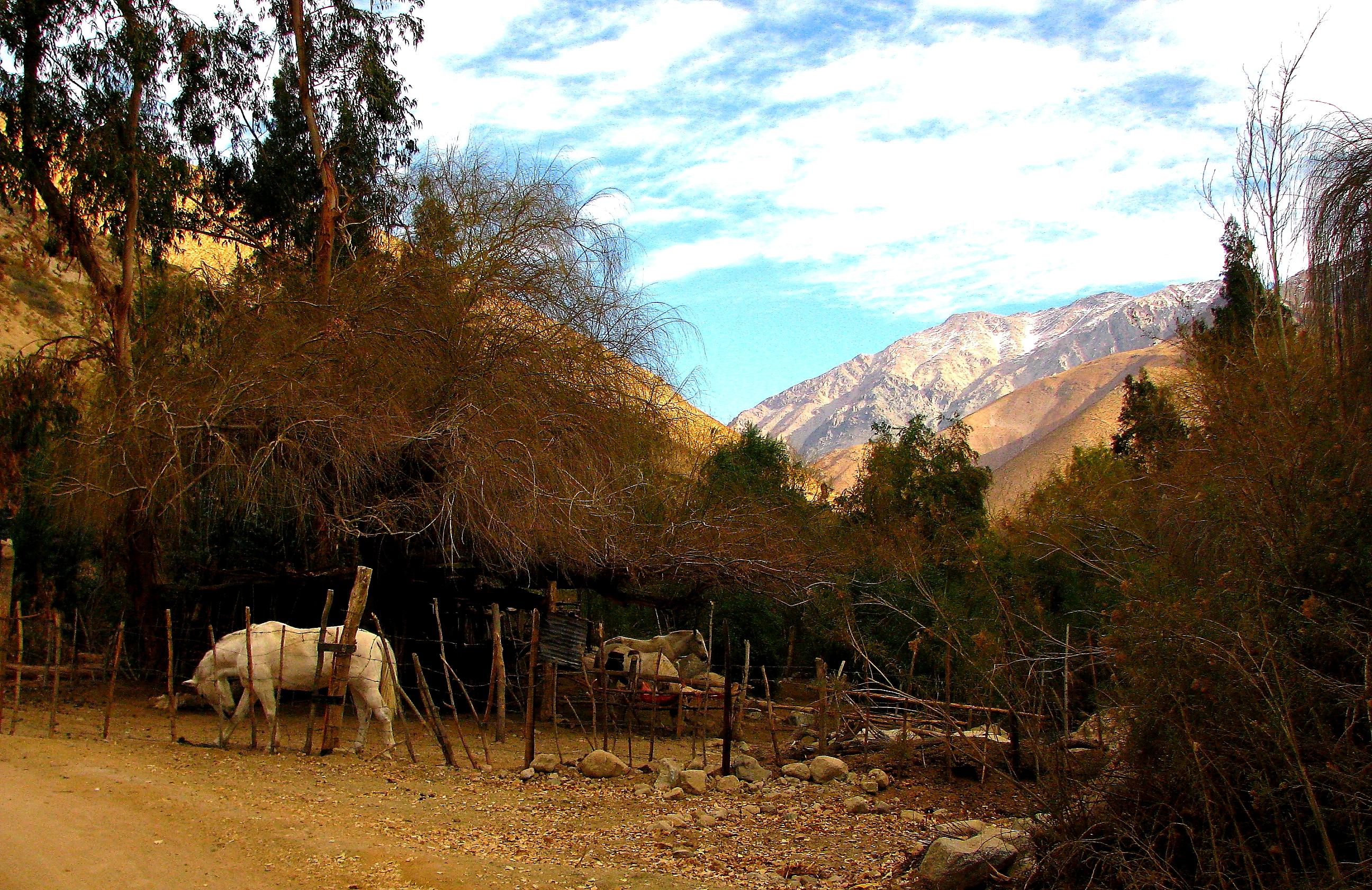 Horcón Valle Del Elqui, por Sebastián Uribe Parra