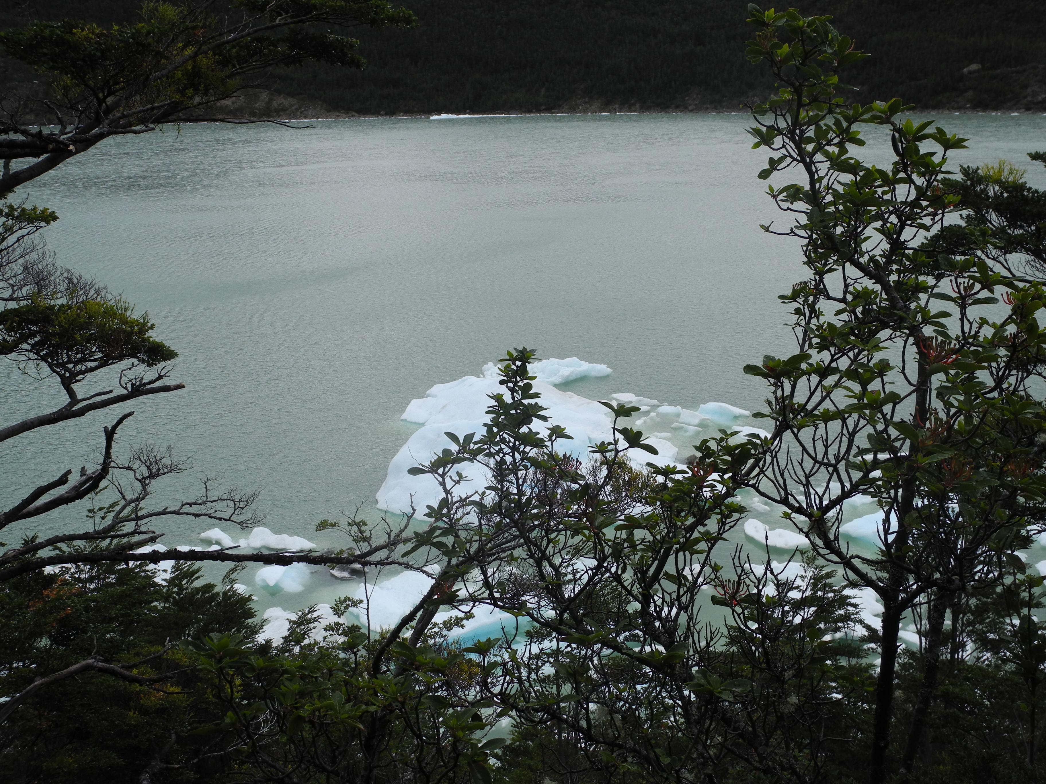 Navegación por el Lago Grey, por Gema Moraleda