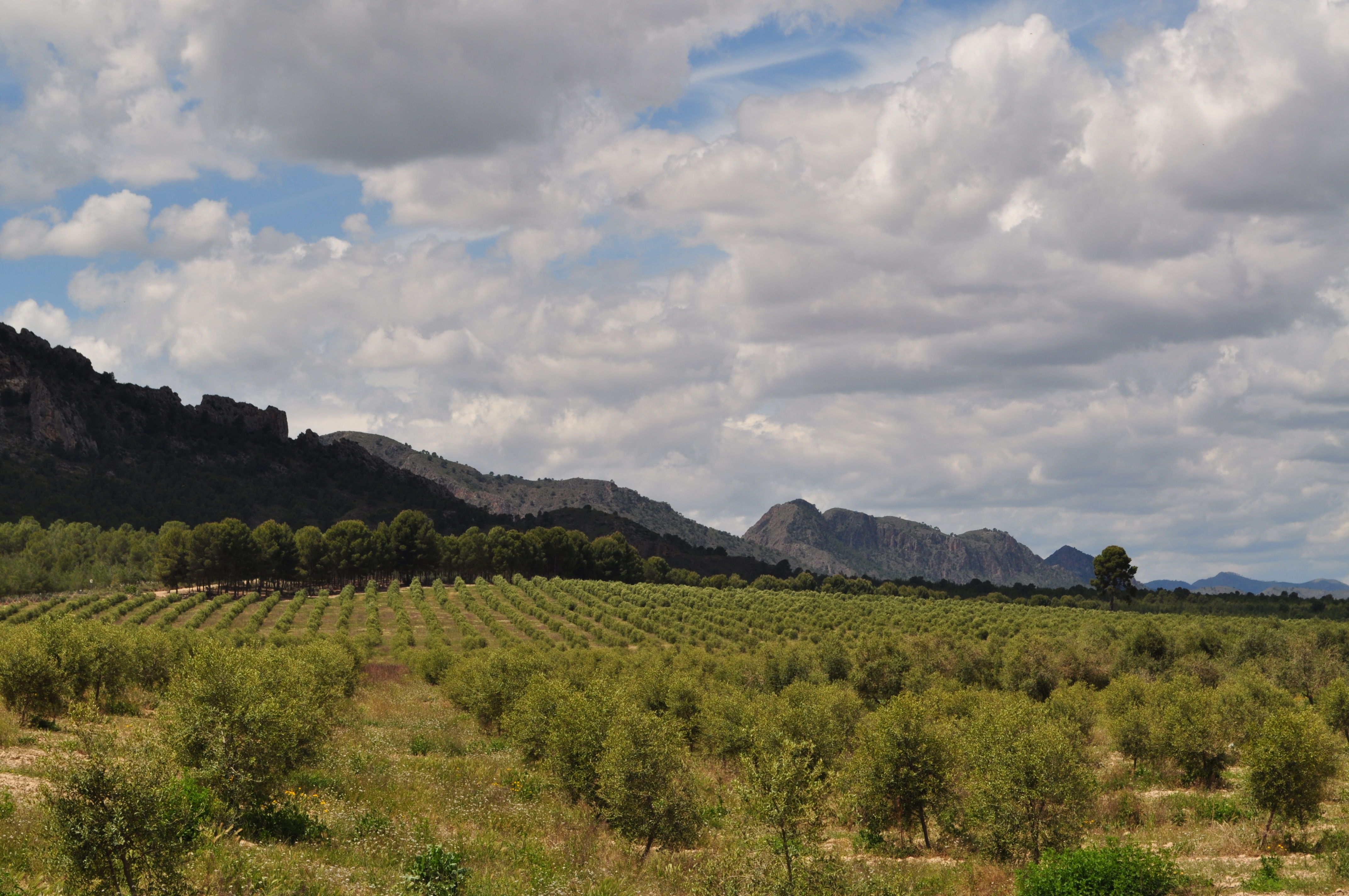 Senderismo en Albacete: aventuras naturales que no te puedes perder